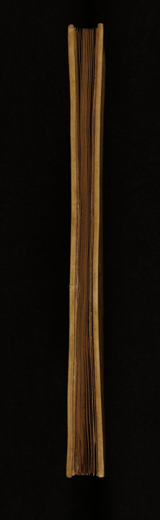 digitised image 3