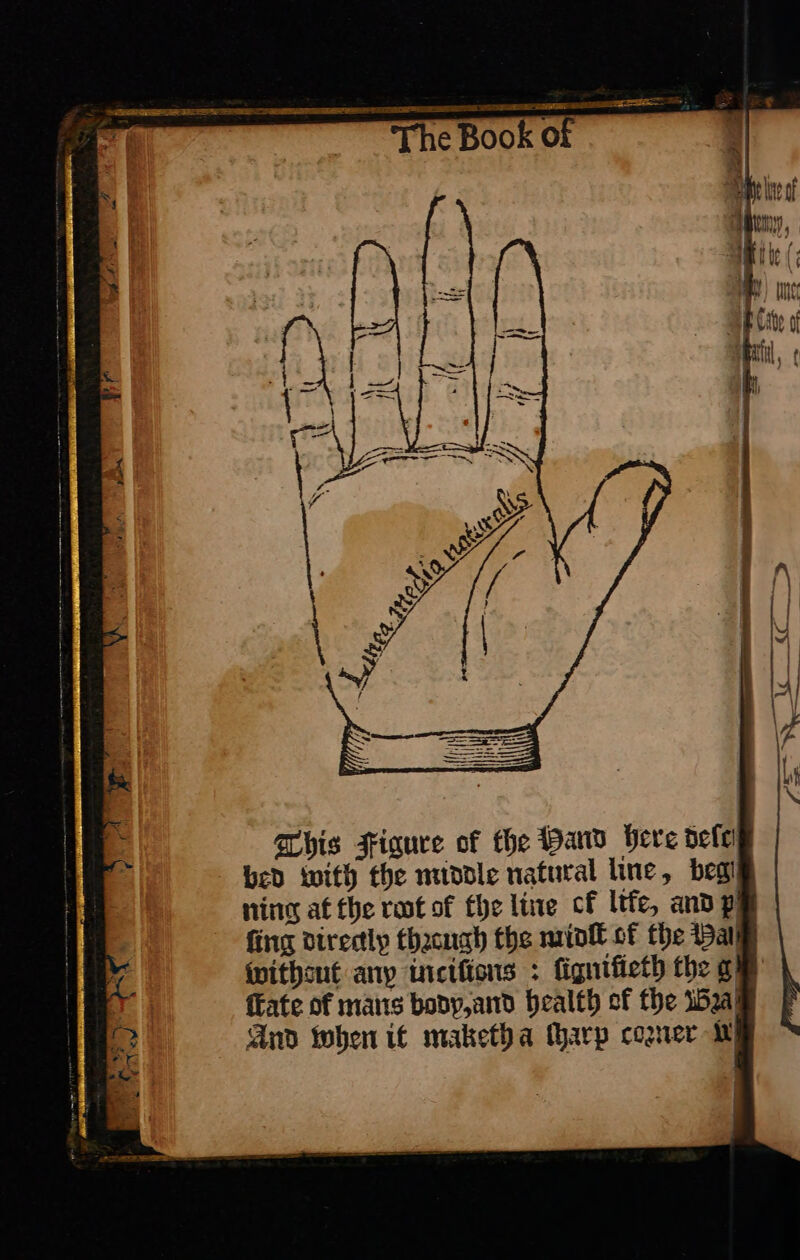 «aa gS RSE RENE SRE SEEPS TEDL SEPT PIO TE SEE SE 9S EE ee ne A A une it of This Figure of the Hand Vere deſc bed with the muddle natural line, beg! ning at the root of the line cf ltfe, and p fing directly thacugh the midſt of the Bar without any incifions : fignifieth the ge {fate of mais bodp, and Health of the ial And when if maketha tharp coger My