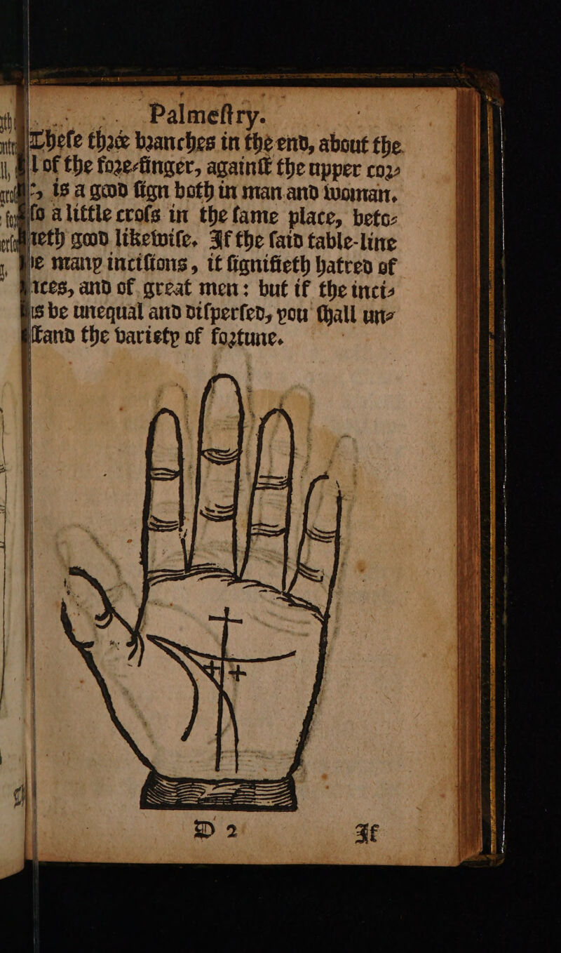 a... .. .Palmeftry. Thele tha beanches in the end, about the. |, Ot Of the fozertinger, againſt the upper cov (its 18 a god fign both in man.and woman, fye® alittle crofs in thefame place, bets: