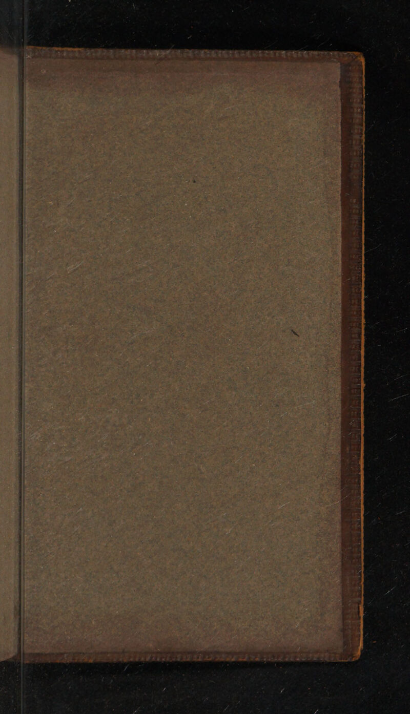 TeEte eh Pn Aelita Ss ‘ b area rem aly 8) ORE NE SE DSR KT