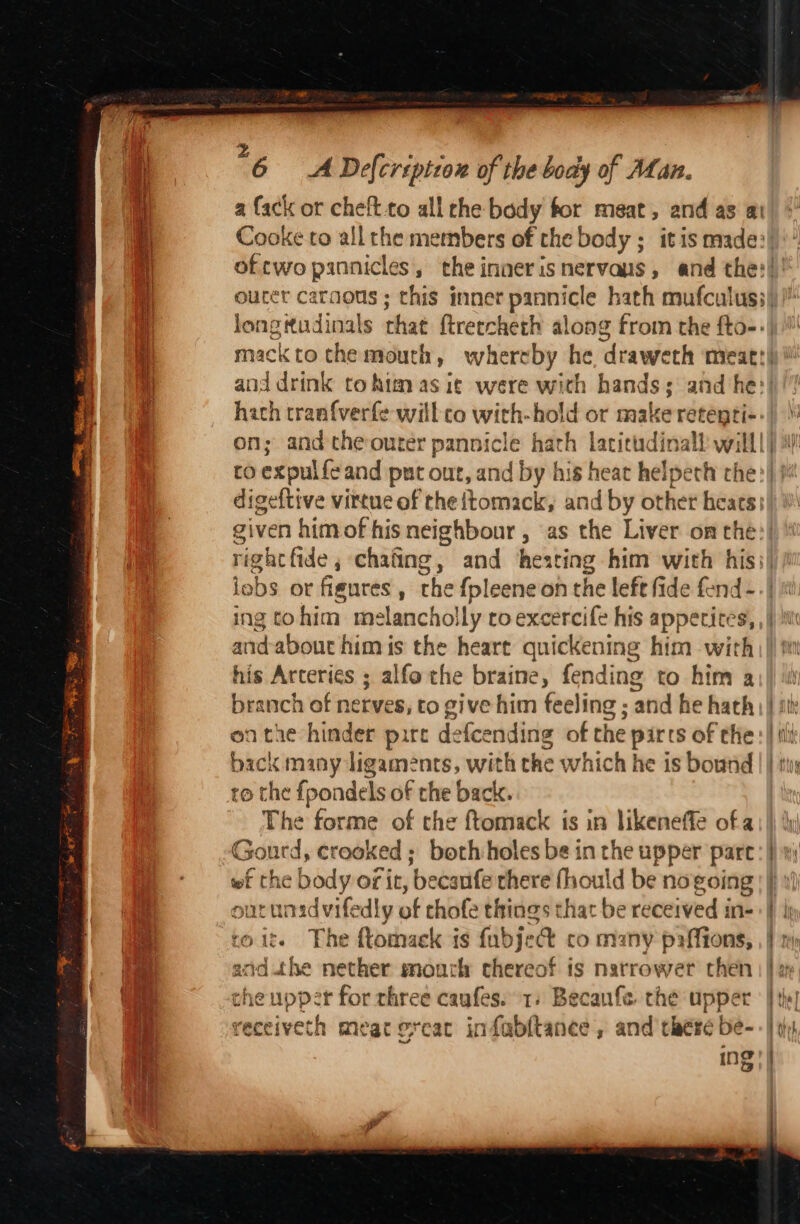 a fack or cheft to all the body for meat, and as at Cooke to allthe members of the body ; it is made:| ofcwo pannicles, the innerisnervans, and the:!! oucet caraous ; this inner pannicle hath mufculus)| longitudinals that {treechech along from the fto-:| macktothemouth, whereby he draweth meatt| and drink to him asic were wich hands; and he:| hath traaf{verfe will co with-hold or make retenti--| on; and the outer pannicle hath latitudinall will! co expulfe and put out, and by his heat helperh the:| digeftive virtue of the{tomack, and by other heacs given himof his neighbour, as the Liver om che: rightfide, chating, and hesting him with his;| lobs or figures, the {pleeneon the left fide fend - -| ing tohim melancholly co excercife his apperices, , | hi arid-about him is the heart quickening him with his Arceries ; alfo the braine, fending to him a branch of nerves, to give him feeling ; and he hath | ith on tie hinder pire defcending of the parts of the : | tt back many ligaments, with the which he is bound || tix to the fpondels of the back. The forme of the ftomack is in likeneffe of a: |) {y Gourd, crooked; both:holes be in the upper parc: | wt the body of it, becanfe there fhould be nogoing |} » our unidvifedly of chofe things that be received in- | | roit. The ftomack is fubje co many paffions, ,} 1 acid.the nether mourh thereof is narrower then | | x che upper for three caufes. 1, Becanfe the upper tk! receiveth meat ercat infubltance, and there be-- |g) ms ing! |