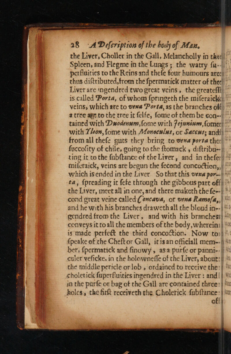 the Liver, Choller in the Gall, Melancholly in thee Spleen, and Flegme itn the Lungs; the watry fa-/ perflairies to the Reins and thefe four humouts arec) thus diftributed, from the fpermatick matter of thee! ° Liver are ingendred two great veins, the greateffl is called Porta, of whom {pringeth the miferaick veins; which ate to vews Porta, as the branches off a tree age to the tree it felfe, fome of them be con--) “ tained with Dwsodenum,fome with fejaninms, fomer| with Yleon, {ome with ALonocalus, or Saccus: andi)” from all thefe guts they bring to vena porta the: ** {uccofity of chile, going to the ftomack , diftribu--| ting it to the fubftance of the Liver, ad in thefes|) “ miferaick, veins are begun the fecond concoction,,) * which isended inthe Liver So that this vena por) ta, {preading ic fefe through che gibbous part off) the Liver, meet all in one, and there maketh the fee!) * cond great veine called (oncava, or vena Ramo/a,,| and he with his branches draweth all the bloud in--\ 4 ecndred from the Liver, and with his branchess} *! conveys it toall the members of the body, wherein) is made perfec the third concoction. Now to) \! (peake of the Cheft or Gall, itisan officiall mem--|} ‘i ber, {permatick and finowy , asa purfe or panni--|} euler veficke, in the holawnefle of the Liver, aboutt|}) the middle pericle or lob , ordained to receive the bi in the purfe or bag of the Gall are contained chree:} !o off)