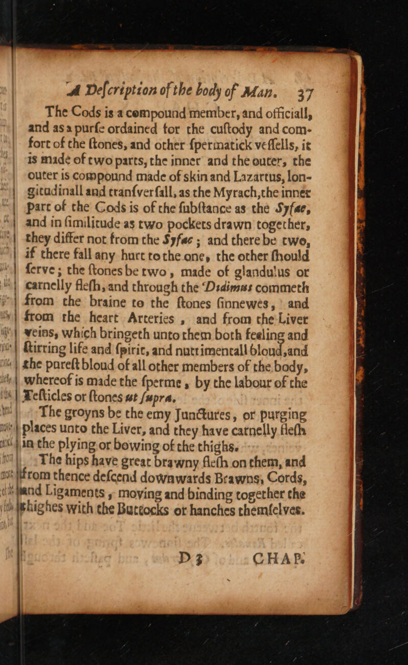 “a A A A NE = The Cods is a compound member, and officiall, and asa purfe ordained tor the cuftody and com- fort of the {tones, and other {permatick veflells, it is made of two parts, the inner and the outer, the outer is compound made of skin and Lazartus, lon- gitadinall and tranfver fall, as the Myrach,the innet part of the Cods is of the fubftance as the Syfae, and in fimilitude as two pockets drawn together, they differ not from the Syfae ; and there be cwo, if there fall any hurt tothe. one, the other fhould ferve ; the ftonesbe rwo, made of glandulus or carnelly flefh,and through the ‘Didimas commeth from the braine to the ftones finnewes, ’ and The groyns be the emy Junctures, or purging The hips have great brawny flefh on them, and ) D 3 CHAP