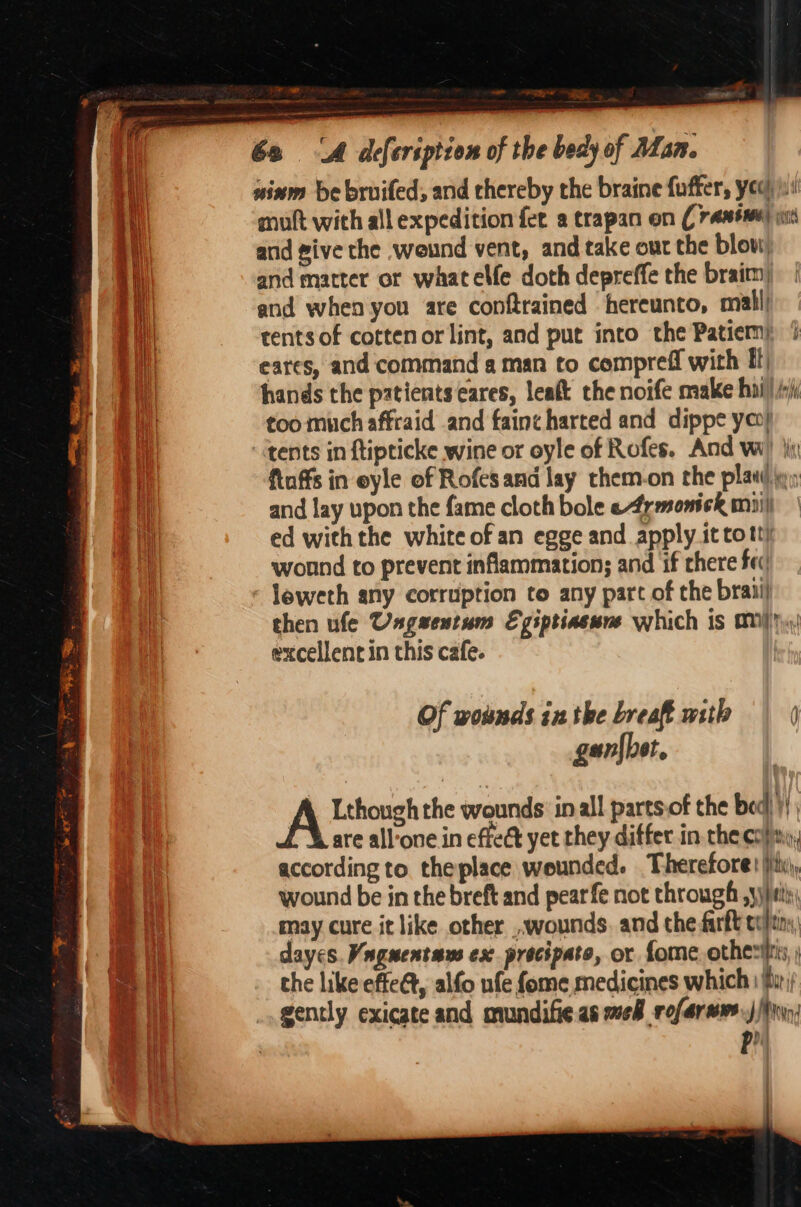 ¥ “ ma 6s “A defeription of the bedy of Man. 1 sinm be bruifed, and chereby the braine fuffer, yee) ji Hy mu with all expedition fer a trapan on (rasta) 1 and give the weund vent, and take out the blow a and matter or whatelfe doth depreffe the braim a and when you are conftrained hereunto, mall aa tents of cotten or lint, and put into the Patiem), | 1 eares, and command a man to compreff with ff) | hands the patients ares, lealt the noife make hui!) i too much affraid and fain¢harted and dippe yo “tents in ftipticke wine or oyle of Rofes. And wi) ji ftuffs in eyle of Rofesand lay them-on the plat jy, and lay upon the fame cloth bole e4rmonick mii) ed withthe white of an egge and apply 1t to tty wound to prevent inflammation; and if there Frc © Jeweth any corruption to any part of the branij then ufe Ungwentum Egiptiasune which is MI) excellent in this cafe. Of wounds inthe breast mith | | gan{bet, = A the wounds in all parts.of the bed)! ES are all’one in effect yet they differ in the co}iny, according to theplace wounded. Therefore: jit), wound be in the breft and pearfe not through yy) a) may cure it like other ,.wounds. and the farft colt, i |i dayes. Vuguentuws ex. precipato, or fome other, ee i the like effeét, alfo ufe fome medicines which \ hi gently exicate and mundifie.as meh rofarsws.) 0, p)