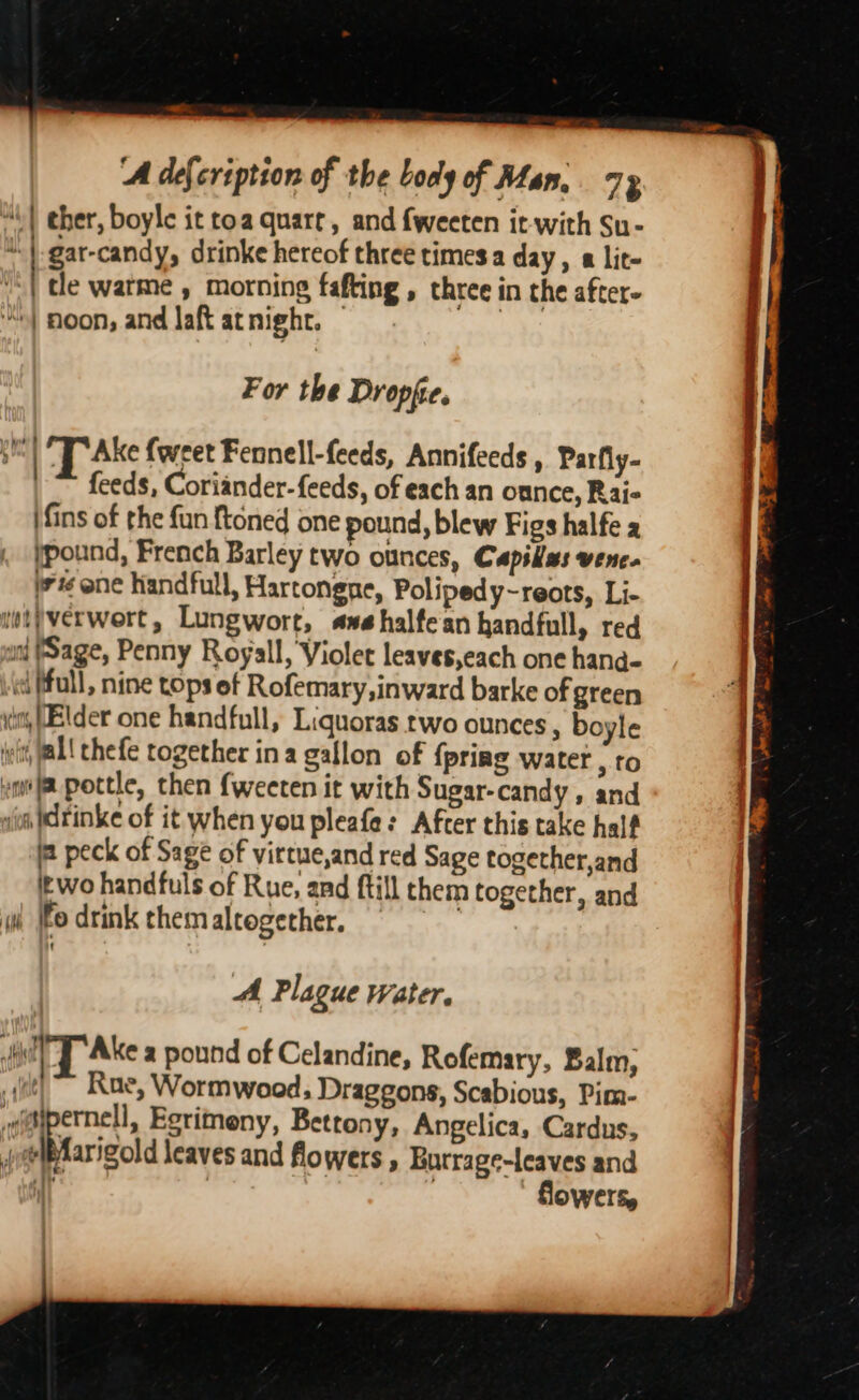 4M)! eher, boyle it toa quart, and fweeten it-with Su- .\gar-candy, drinke hereof three times a day, a lit- “| tle warme , morning fafting , three in the after- “| noon, and laft at night. For the Dropfe. Hui | T Ake {weet Fennell-feeds, Annifeeds , Parfly- feeds, Coriander-feeds, of each an ounce, Rai- ifins of the fun {toned one pound, blew Figs halfe 2 jpound, French Barley two ounces, Capilles wene. jr one handfull, Hartongne, Polipedy-reots, Li- wet}verwert, Lungwort, avehalfean handfull, red wal (Sage, Penny Royall, Violet leaves,each one hang- ici full, nine tops of Rofemary, inward barke of green it Elder one handfull, Liquoras two ounces , boyle wet, Ul thefe together ina gallon of {priag water to «mvj pottle, then {weeten it with Sugar-candy , and un hdtinke of it when you pleafe: After this take half ie peck of Sage of virtue,and red Sage together,and iewo handfuls of Rue, and ftill them together, and iw Fodrink themaltogether, ir A Plague Water. ir VT Ake a pound of Celandine, Rofemary, Balm, tl) Rae, Wormwood, Draggons, Scabious, Pim- weipernell, Eorimeny, Bettony, Angelica, Cardus, dbfarigold leaves and flowers , Burrage-leaves and _ 7 | ' Sowers,