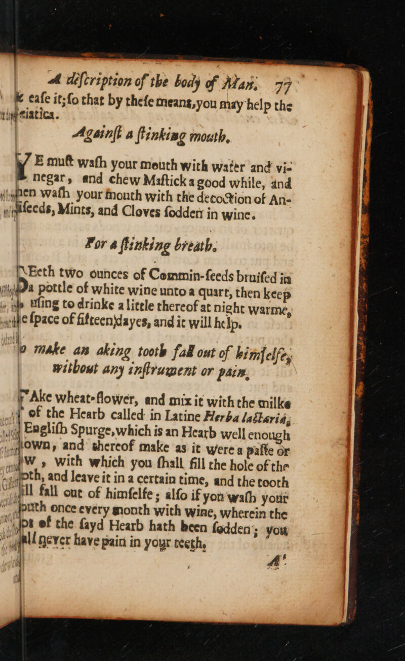 =- We eafe it;fo that by thefe meang,you may help the tiyptiatica . Azainft a linking mouth, ( E mutt wath your mouth with water and vi- ® negar, and chew Miftick a good while, and diq@en wath your Month with the deco%ion of An- » Mints, and Cloves fodder in wine. For a flinking breath. I\Eeth two ounces of Cemmin-feeds bruifed ig (iyi@ pottle of white wine unto a quart, then keep ide Wing to drinke alicele thereof at night warme, th {pace of fitteen\dayes, and ic will he Ip. lo make an aking tootl fal out of himfelfe, witbout any inflrumpent or pain. f Ake wheat»flower, and mix it withthe milke i of the Hearb called: in Latine Herba lablaria, jo E@ghith Spurge, which is an Hearb well enough -.gtOWD, and shereof make as it were a pafte or of » With which you thall fill the hole of the hu g@th, and leave it in a certain time, and the tooth Vill fall out of himfelfe ; alfo if you wath yout uth once every month with wine, wherein the .Jps ef the fayd Hearb hath been fedden’; you a never have pain in your ceeth. a . a = = ss