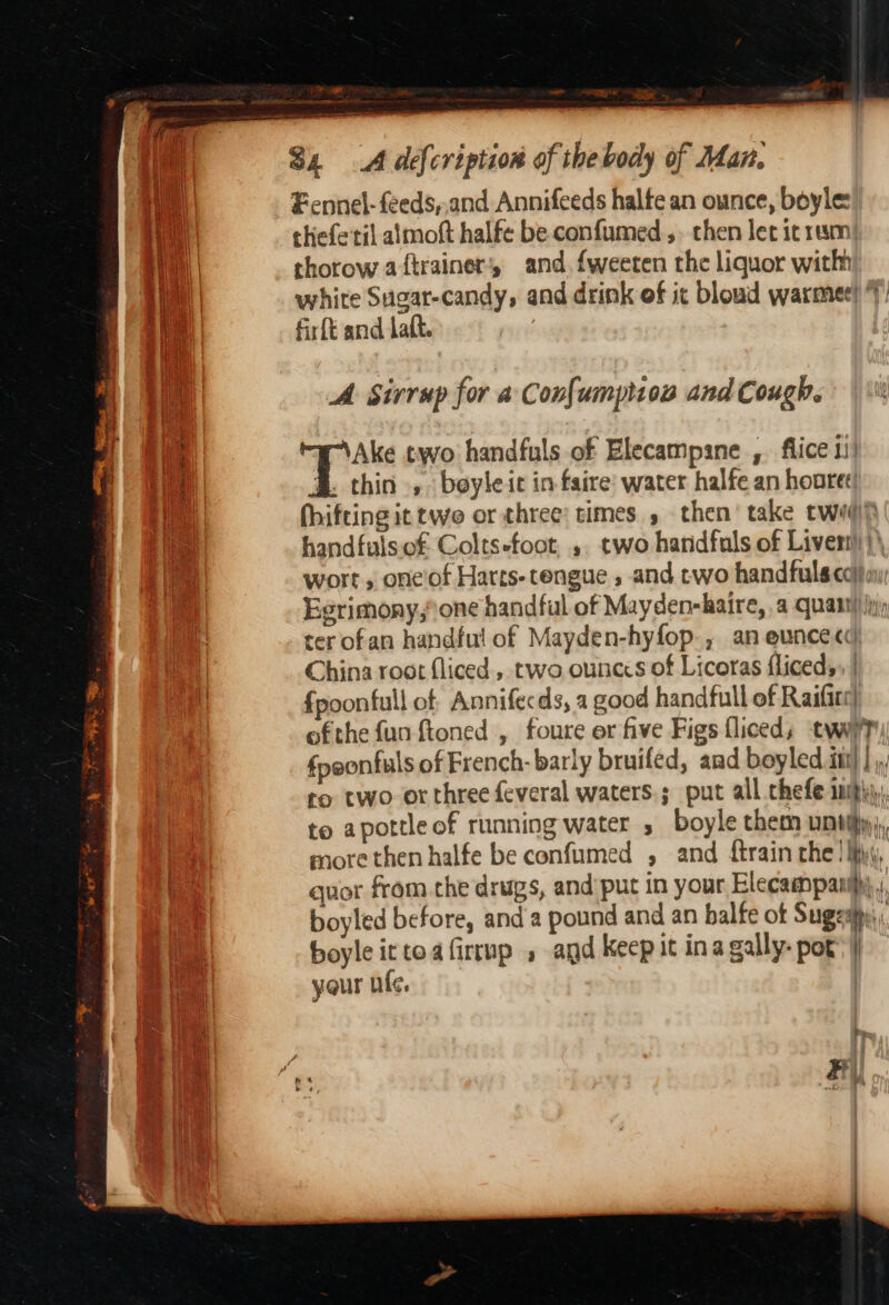 - o- — ——— By be $4 A defcription of the body of Man. pad Fcnnel- feeds,,and Annifeeds halte an ounce, boyle: al thefe'til almoft halfe be confumed ,. chen let it rum wa thorow aftrainer, and. fweeten the liquor with a white Sugar-candy, and drink ef it bloud warmer! 14 firft and Lat. A. Sirrup for a Con{umpiion and Cough. Ake two handfuls of Elecampane , flice 1)) &amp; thin .,. boyleic in faire: water halfe an hooret| fhifting it twe or three’ times, then’ take twwif handfulsof Coltsefoot, ,. two handfuls of Livers) }\ wort, one of Harts-tengue , and two handfuls com Eerimony,°one handful of Mayden-haire, a quanti ji ter ofan handful of Mayden-hyfop., an euncecd China root fliced , two ounccs of Licoras fliceds, | fpoonfull of Annifecds, a good handfull of Raifite| ofthe fun ftoned , foure er five Figs fliceds twwy? fpeonfuls of French- barly bruifed, and boyled itt} | ,/ ro two or three feveral waters; put all chefe mph, to apottle of running water 5 boyle them untipy;, more then halfe be confumed , and ftrain the! Mix\, quor from the drugs, and put in your Elecampanipy ; boyled before, anda pound and an balfe of Suge, boyle ittoafirrup . agd keep it ina gally- pot’) your ufc, | = Cae thle ag an a gon Ape == ry Fi i Bs =]