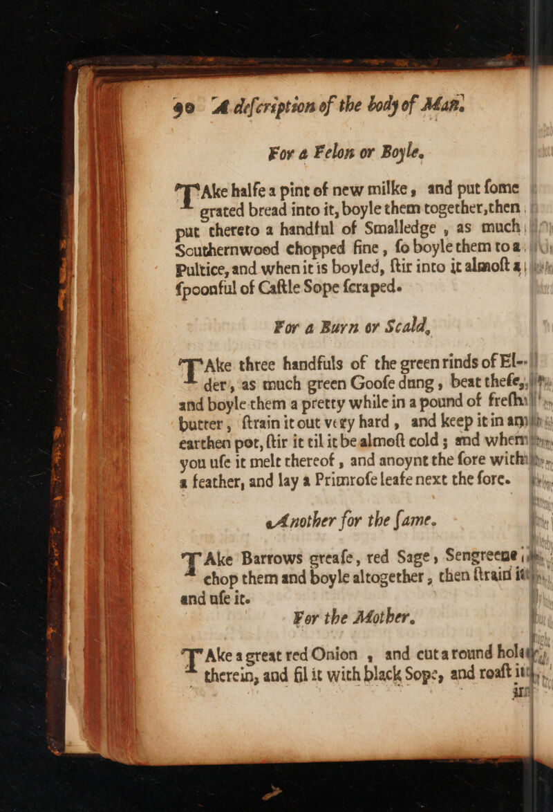 * Ie aye 90 ‘A difcription of the body of Man. Vi For @ Felon or Boyle. Va ‘Ake halfe a pint of new milke, and put fome Va erated bread into it, boyle them together, then || ha put chereto a handful of Smalledge , as much Southernwoed chopped fine , fo boyle them toa; |)\); ea Pultice, and whenit is boyled, ftir into ic almoft a | |i al fpoonful of Caftle Sope {craped. | For a Burn or Scald, ‘T Ate three handfuls of the greenrinds of El-. der’, as much green Goofe dung , beat thefe,, ity and boyle:them a pretty while in a pound of frefhi}),, butter, {train itout very hard, and keep itin apni earthen por, ftir it cil it bealmeft cold ; md wher, you ufe it melt thereof , and anoynt the fore withiffy,, a feather, and lay a Primrofeleafenext the fore. Py, eA nother for the (ame. Y Ake Barrows creafe, red Sage, Sengreeme ~ chop them and boyle altogether , chen ftrain itt}, and ufe it. For the Mother. © f i J’ Ake agreat red Onion , and cuta round hola, * therein, and fil it with black Sope, and roaft itq,, ann