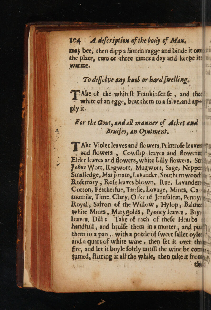 a ee * may bee, then dippa linnen ragge and binde it omit! the place, twoor three tsmesa day and keepe ite ii warme. | _ Todiffelve any kab or bard fwelling. Ake of the whiteft Frankinfenfe and thee * white ofan eggc, beacthem roa falve,and ap+/7'/ ply ic. | va For the Gout, and cll manner of Aches ana | ~ Braifes, an Oyatment. : T Ake Violet leaves and flowers, Primrofe leaveviii™y . aod flowers ,. Cowllip leayes and flowerss)|*), Elder leaves and flowers, white Lilly howers, Setlthi\\ Zobxs Wort, Regwort, Mugwort, Sage, Nepperi))), Smalledge, Marjoram, Lavander, Southern wovdiiiy j Rofemary, Refeleaves blown, Rue, Lavanderr#y,,, Cotton, Featherfue, Tanfie, Lovage, Mints, Cav), smomile, Time, Clary, Oke of Jerufalem, Pennyy\,, Royal, Safron of the Willow , Hyfop, Balmec!, white Mints, Marygolds, Pyency leaves, Biyy' eaves, Dills Take of each of thefe Hearbs # handtuit, and bruife them in amorter, and pul}, them in a pan ,. witha pottle of {weet fallet oylec)*, anid a Quartof white wine, theo fet it over chil, fire, and let.it boyle foftly untill che wine be com, fumed, fturting it all che while, then take it frosty