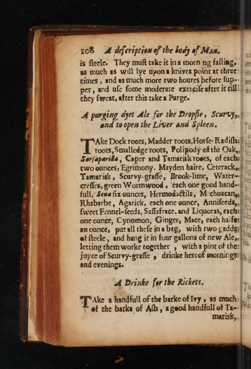 2 gaya eid pehtrgos 7S Sutin gosh NGO creme ks Lg oat ee een mate a : ; aes ese a ge ER 5 =&lt; a Leese RTs a on Fiecesor ie : 7 fate oie pe Ee J 5 ett a oe : ay ae : is ftecle. They muft cake it ina morning falting, | | as much as will lye upona knives poine at three: | 5, times , and as much more ewo houres defore fup-:} py per, and ufe fome moderate exergife after it cull)... chey fweat, after chis rake a Purge. ‘A purging dyet Ale for the Dropfie, Scurvys,\ and to open the Liver and Spleen. Ake Dock roots, Madder roots,Horfe- Radifhu)) |, roots, Smalledge roots, Polipody of the Oak,, Sarfaparive , Caper and Tamaritk roets, of eachi! two ounces, Egritnony, Mayden haire, Cereracky|) » Tamarisk, Scurvy-graflé, Brook-lime, Water): crefles, green Wormwood , ‘¢ach one good hand--|) , full, Sewa fix ounces, Hermodadtils, Mechoacang,|!,. Rhabarbe, Agarick, cach ene ounce, Annifeeds,, |). | {weet Fennel-feeds, Saflafrace, and Liquoras, eachi}; ,° one ounce, Cynomon, Ginger, Mace, each haifet! anounce, putall thefe inabag, with two gaddg}) di ef fteele, and hang it in four gallons of new Ale,,|;, letting chem worke together , with pint of the:)™ joyce of Scurvy-eraffe', drinke hercof mornings}|)), ) and evenings. . A Drinke for the Rickets. Ake a handfull of che barke of Ivy as much, q 4 - e@f the barke of Ath, ageod handfull of Ta=./ ) marisk, ,| :