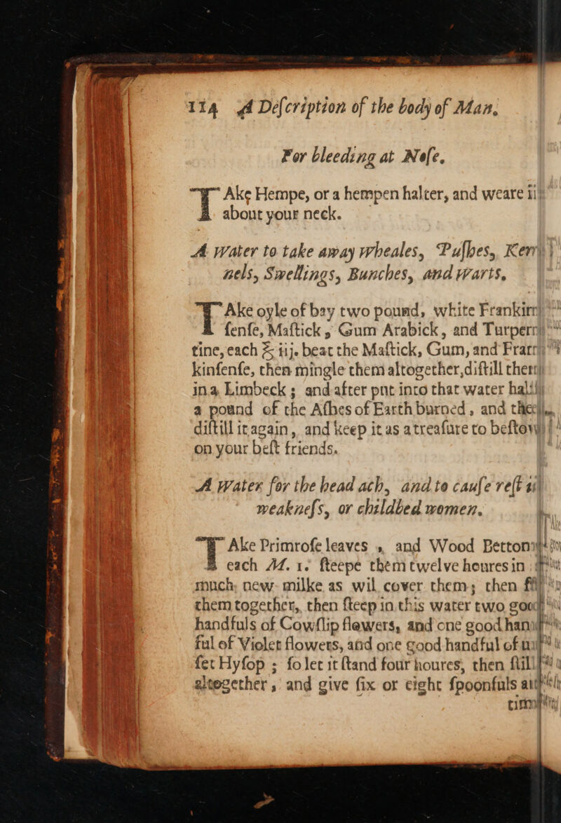 Lapeer iene = For bleeding at Nefe. Ake Hempe, or a hempen halter, and weate 11 B about your neck. A water to take away wheales, Pufhes, Ken nels, Swellings, Bunches, and warts, ¢ Bae oyle of bay two pound, white Frankirr fenfe, Maftick » Gum Arabick, and Turperr tine, each &amp; ii}. beat the Maftick, Gum, and Prarr kinfenfe, then mingle them altogether, diftill thers) ina Limbeck ; andafter pnt into that water hall! a pound of the Afhes of Earth burned, and theell,, diftill iragain, and keep it as atreafure to beftowy) | * on your beft friends. A Water for the head ach, and te caufe reft a weaknef{s, or childbed women, ~ Ake Primrofe leaves », and Wood Betton iii B each AZ. 1. fteepe them twelve houresin | Hi much; new: milke as wil cover them; then fay chem together, then {teep in. this water two good ‘i handfuls of Cowflip flawers, and one good hana}: ful of Violet flowers, aad one good handful of mf! fer Hyfop ; foler it ftand four houres, then fillM eitegcther ; and give fix or eight fpoonfuls ants! oisen Ain