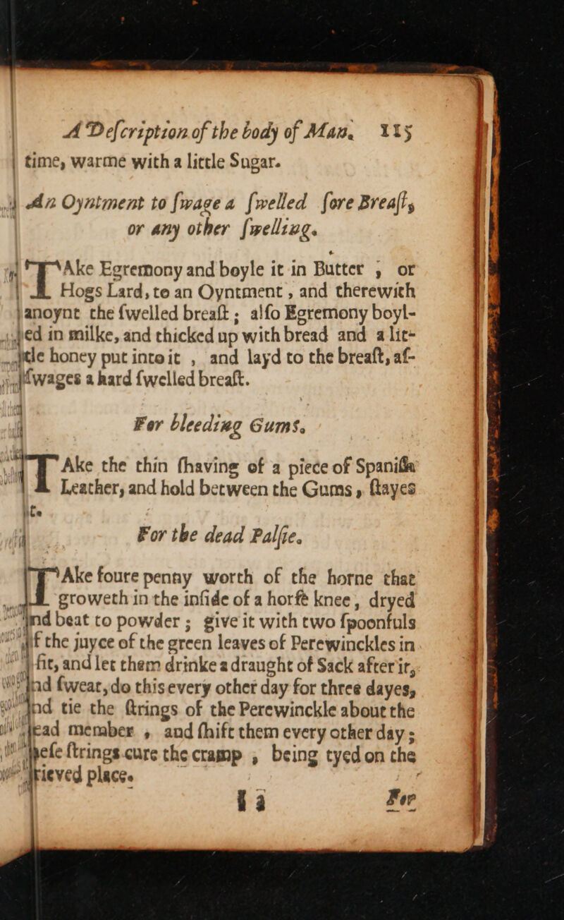 | time, warme with a little Sugar. |) Ax Oyntment to {wage a {welled fore Breall, | or any other {wellixg. i Ake Egremony and beyle it in Butter , or ‘EL Hogs Lard, te an Oyntment , and therewith janoynt the {welled breaft; alfo Egremony boyl- ped in milke, and thicked up with bread and a lic+ ttle honey put intoit , and layd to the breaft, af- iudwages a hard {welled breaft. 4 For bleeding Gums. 44 the thin fhaving of a piece of Spanifa } &amp; Leather, and hold between the Gums » ftayes ite For the dead Palle. Ake foure penny worth of the horne that % groweth in the infide of a horfé knee, dryed “nd beat to powder ; give it with two {poonfuls mgt the juyce of the green leaves of Perewinckles in * pfit, and let chem drinke a draught of Sack afterir, nd fwear, do this every othet day for three dayes, nd tie the Qrings of the Perewinckle about the rad member , and fhift them every other day ; WV 4 Wy 1 “4 er) jpe af } wh rieved place. fa Pee