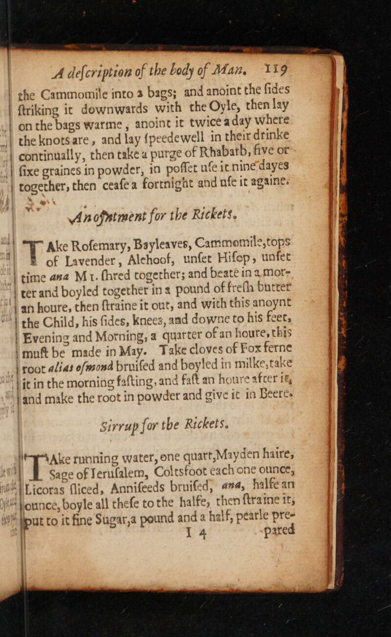 -. aes A de{cription of the body of Man, 119 che Cammomile into 2 bags; and anoint the fides ftriking ic downwards with the Oyle, then lay | on the bags warme , anoint it twice aday where ek the knotsare, and lay {peedewell in their drinke continually, then take a purge of Rhabatb, five or fixe graines in powder, in poffet ufe it ninedayes together, then ceafea fortnight and nfe it againe. Vv Anofatment for the Rickets. | Tv Ake Rofemary, Bayleaves, Cammomile,tops 1) 8 of Lavender, Alchoof, unfer Hifop, unfet ‘| time ana Mt. fhred together; and beate in amor- | rer and boyled together ina pound of frefh butter ) an houre, then ftraine it out, and with this anoynt | the Child, his fides, knees, aad downe to his feet; | Evening and Morning, a quarter of an houre, this \muf be made in May. Take cloves of Fox ferne \ root alias ofmsond bruifed and boyled in milke,take ‘Vit in the morning fafting, and faft an houre afcer it, band make the root in powder and give it in Beeres sirrup for the Rickets. WAke running water, one quatt,Mayden haire; i Sage of Jerufalem, Coltstoot each one ounce, il bLicoras fliced, Annifeeds brnifed, 44, halfe an it Vounce, boyle all thefe tothe halfe, then ftraine it, Yput to it fine Sugar,a pound and a half, pearle pre-