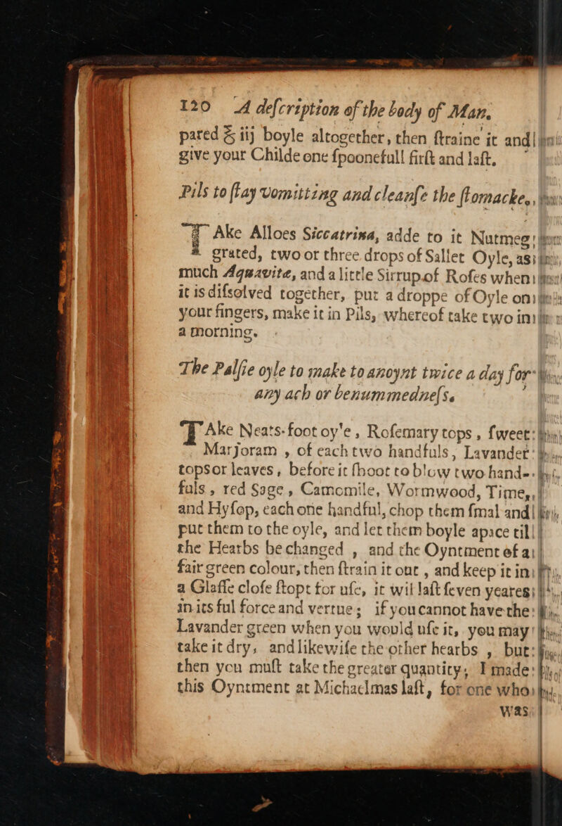 ee nee en pared &amp; iij boyle altogether, then ftraine it and | jpn give your Childe one fpoonefull firft and laft. Pals to flay Vomitting and cleanfe the flomacke, to “a Ake Alloes Siccatrixa, adde to it Nutmeg! iow: * grated, two or three drops of Sallet Oyle, agi in much Agsavite, anda little Sirrupof Rofes when) tae! it isdifsolved together, pur a droppe of Oyle on) tet: your fingers, make it in Pils, whereof take two inthe » a morning. The Palfie oyle to make to anoynt twice a day for Wn any ach or benummedne(s. | Ake Neats-foot oy'e, Rofemary tops , fweet: hi) Marjoram , of eachtwo handfuls, Lavandet'# topsor leaves, before it fhoot re blaw two hand: By fy fals , red Sage , Camomile, Wormwood, Time.) and Hyfop, each one handful, chop them fmal-and| i put them to the oyle, and let them boyle apace til! the Hearbs be changed , and the Oyntment ef a}! fair green colour, then ftrain it ont , and keep it ini Phy a Glaffe clofe ftopt tor ufe, it wil lat feven yearesi M4, in.itsful forceand vertue; if youcannot have the: M.. Lavander green when you would nfe it, you may Hi, takeitdry, andlikewife che other hearbs , but: i, then you muft take the greater quanticy, Imade: bi, this Oyntment at Michaclmas laft, for one who) hy was; |