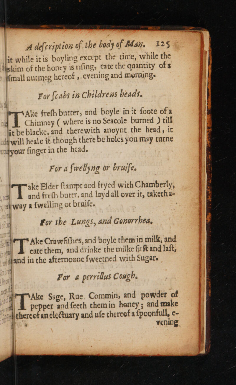 Loa ae ts A defeviption of the cody of Adan, 125 st while itis boyling except the time, while the Iiskim of the honcy is rifing, eate the quantity of¢ (mall nutmeg hereof ,.evening and morming. : For (cabs in Childrens heads. ( H | Ake frefh butter, and boyle in x foote of a ii ok himney ( where is no Seacole burned ) till q st be blacke, and therewith anoynt the head, ic Wwill heale it though there be holes you may turne ‘uityour finger in the head. For a fwellyng or bruife. bt i Elder fampt aod fryed with Chamberly, : i and frefh burer, and layd all over it, taketha- | dhway a {welling ot Druite. j For the Lungs, and Gonorrhea, j  Ake Crawfithes, and boyle them in milk, and “at eate them, and drinke the milke firft and laft, hand in the afternoone {weetned with Sugars ! For a perrillus c ough. | “MPT Ake Sage, Rue, Commin, and powder of A\ &amp; pepper and feeth themin heney ; and make odichercof anclectuary and ufc chercof a fpoonfull, ¢- | ‘me vening, }