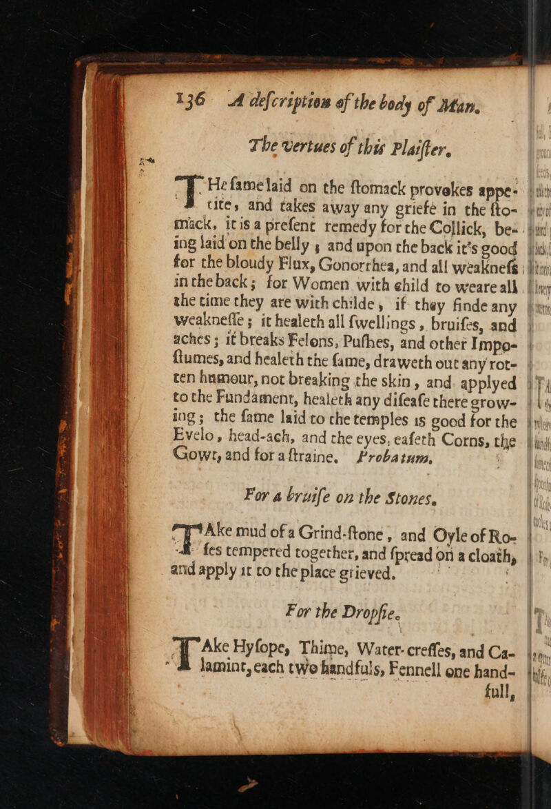 136 A defcriptios of the body of Man. The vertues of this Plat(ter. ~Hefamelaid on the ftomack provekes appe- # ute, and takes away any eriefe in the fto- ing laid on the belly 5 and upon che back it’s good intheback; for Women with ehild to weare alk the time they are with childe, if they finde any weaknefle ; it healeth all {wellings , bruifes, and aches ; it breaks Felons, Puthes, and other Impo- {tumes, and healeth the fame, draweth out any rot= ten hamour, not breaking the skin, and. applyed tothe Fundament, healeth any difeafe there srow- ang ; the fame laid to che temples is good for the Evelo, head-ach, and rhe eyes, eafeth Corns, the Gow, and foraftraine, Probatum, For a bruife on the Stones. Ake mud of a Grind-ftone , and Oyle of Ro- _ fes cempered together, and fpread on a cloath, arid apply it co the place grieved. . . % For the Drophie. @ Ak Hyfope, Thime, Water-creffes, and Ca- lamint, each two handfuls, Fennell one hand- | full, ; it £9 A,