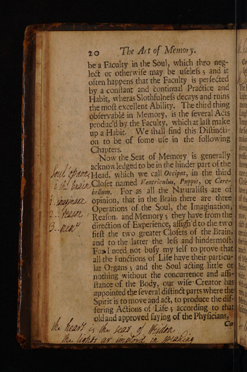 bea Faculty in the Soul, which thro neg- le&amp; or otherwife may be ufelels 5 and it often happens that the Faculty is perfected by a conitant and continual Pragtice and Fiabit, wheras Slothfulnefs decays and ruins che moft excellent Ability. The third thing obfervablé. in Memory, is the feveral Acts | Lay produc’d by the Faculey, whicharlatt make | up aHabic. We thall find this Diftinctr- | on to be of fome\ule in the following }: Chapters. i Now the Seat of Memory is generally | gr acknowledged to be in the hinder part of the’ ] hho 4 Ales Head, which we call Occipat, in the third | / VA / bu ip Chole named Ventriculus, Puppies, or Cere- : Cit. bellam. For as all the Naturalifts are.ot } 1 Yoyraee opinion, that in the Brain there are three J ‘in hop WI Operations of the Soul, the Imagination, )} she | ia. % ’ Reafon, and Memory they have from the) 3 pep” — dixection of Experience, affigh’dto the two | j | Gt the two greater Clofets of the Brainy} and tothe Jatter the lefs and hindermoft, : Eos! need not bufy my felf to prove that} ai] che Functions of Life have their particu} lar Organs ; and the Soul acting litle orf}, nothing without the concurrence and affi-i jy; ance of the Body, our wife: Creator has} jij, ay appointed che feveral diftinét parts where thel i | Spirit is co move and act, to produce the dif-} oa Snags eae een! 8 — a ee, = STE cna gages es ae An can elatrc ng fering Actions of “Life; according to chatil | Sopp oldand approved faying of the Phyliciansy 3 lett! the Hiet of hud, el iN e | hae ea