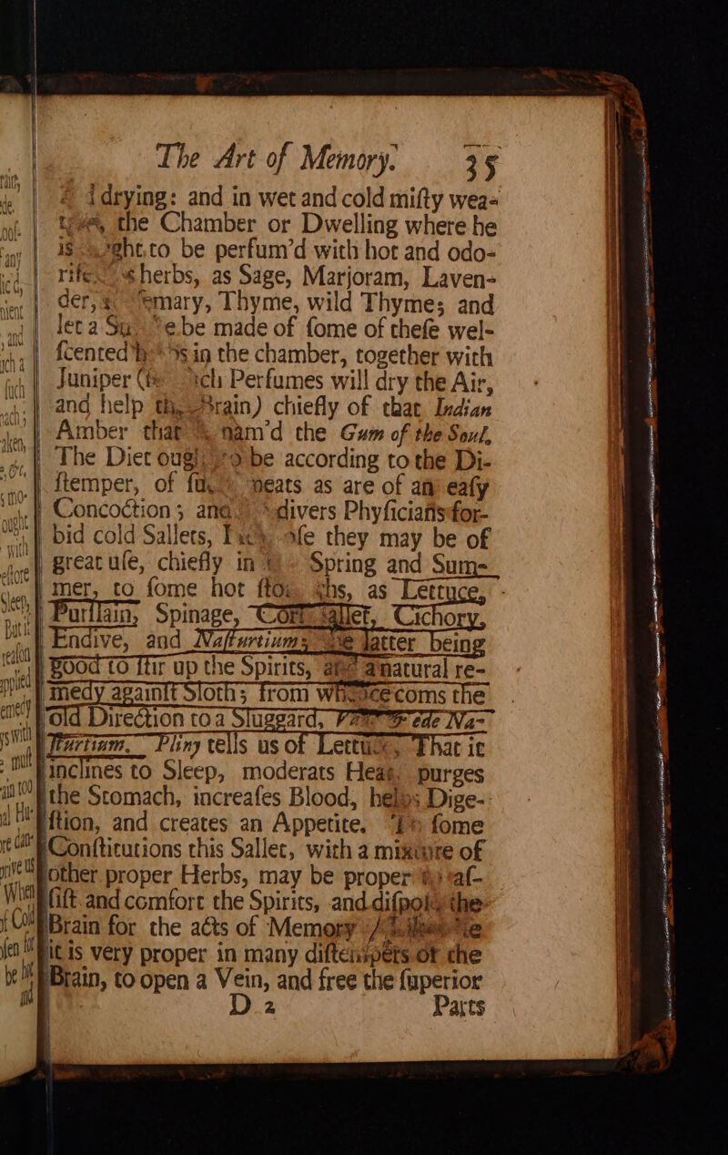yf idrying: and in wet and cold mifty wea= wt | Sa the Chamber or Dwelling where he VUL° . 5 ® sy | ’S-a*ehe.co be perfum’d with hot and odo- ‘|_| rife. herbs, as Sage, Marjoram, Laven- vr | er, &amp; emary, Thyme, wild Thymes and “nd | deta Su *ebe made of {ome of thefe wel- rh, | Scented’ %§ in the chamber, together with i, | Juniper Ge ich Perfumes will dry the Air, wt | €nd help th eSrain) chiefly of chae Indian | Amber thar &amp; mam’d che Gum of the Soul, | The Diet ougl, 9 be according to the Di- | itemper, of fa, ‘eats as are of am eafy Na | Concoction; ana. “divers Phyficiafisefor- |. bid cold Sallets, Tic, afe they may be of Batic utliain, Spinage, Cort: sallet, Cichor ate g ir up the Spirits, oth; from whavcecoms the 10 a a. s linclines to Sleep, moderats Heaé. purges ithe Stomach, increafes Blood, helos Dige-: ue ition, and creates an Appetite. “1% fome re FConfticutions this Sallet, with a mikuire of vets jother proper Herbs, may be proper #3 taf- Will ft. and comfort the Spirits, and difpoks the {CuRBrain for the aéts of Memory [dllgen ie (eo Pit is very proper in many diftenspets of the as Brain, to open a se and free the {yperior i | 2 Parts ree’ sergeant oe 8a =i BF RR TSR OS RATE ae - ssenizermins aan tenacaar pear gE SENN ee ment hb EPS a EE fai anti ifenOA sf TY J |b kiN i bo Sa con EE ae ath. alee tT OT 22. =. (i | stitesasi Veet a CaS