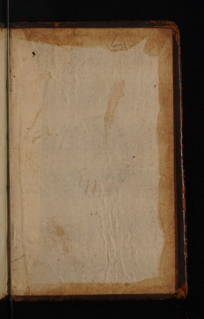 nee er a eeN PO cee pnt mae mninian | memuntses vapnairaon PUNY cgminerr oan nomen ost ren om