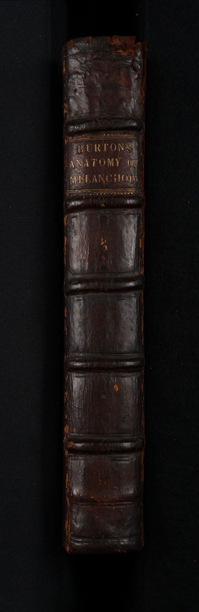 digitised image 2