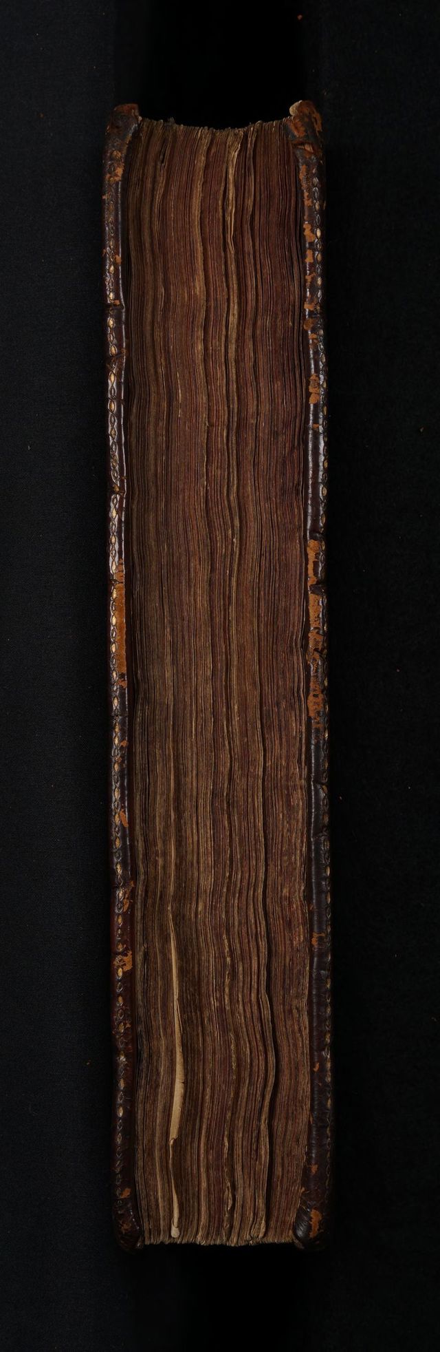 digitised image 3