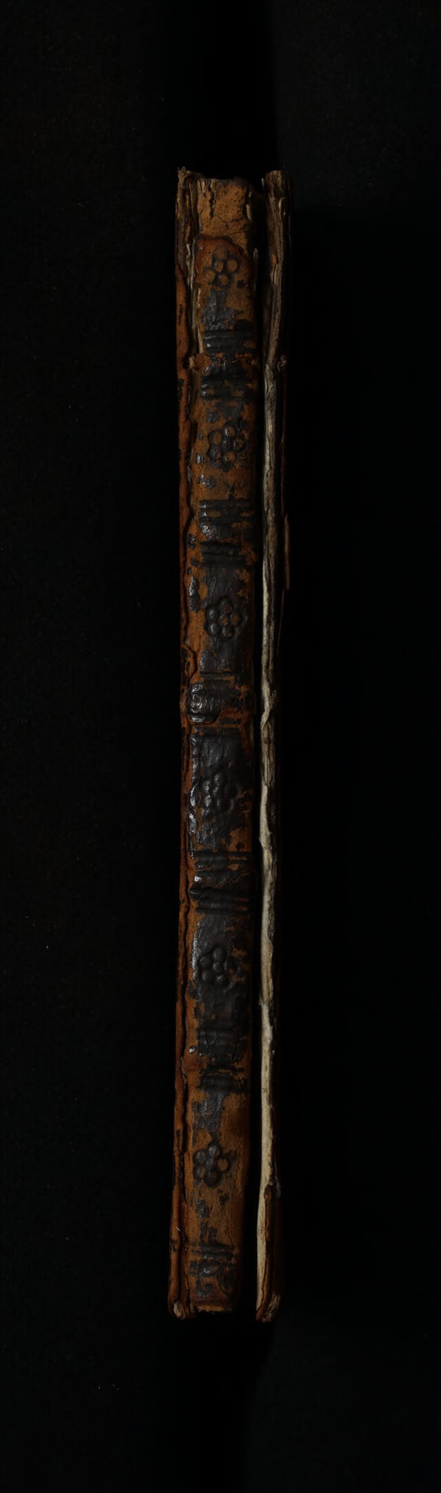 No text description is available for this image