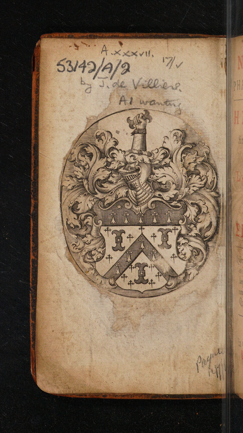 No text description is available for this image