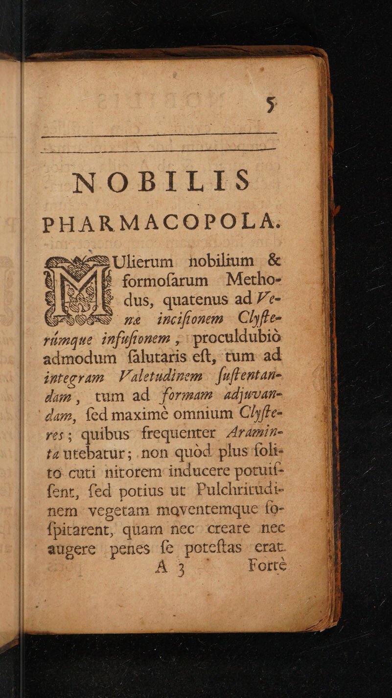 ——— ÜG NOBILIS PHARMACOPOLA. Eee Ulierum nobilium &amp; P4 ! formofarum . Metho- Jed $ dus, quatenus ad 7e- S ont incifionem | Chyfte- rionque. infuftonem , | proculdubio admodum fàlutaris eft, tum- ad integram. Valetudimem | [uflentan- dan, tum ad formam adjwvan- dam, fed maximé omnium CAffe- re$; quibus frequenter Aramin- t4 utebatur; .non quód plus foli- to cuti nitorem inducere potuit- fent, fed potius ut. Pulchritudi- nem vegetam mqventemque fo- fpitatent, quara nec creare nec augere penes fe poteftas crat. By Forte