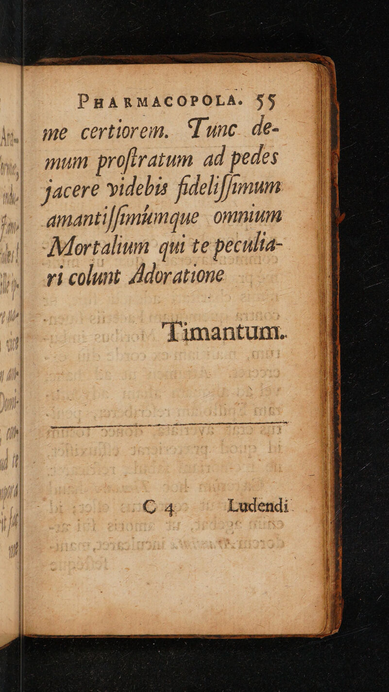 me certiorem. unc. de- mum proftratum ad pedes jacere videbis fideliffimum amantiJfuntonque | omnium AMortalium qui te peculta- ri colunt ddoratione  A —A—R - EM asit es , EO C TENI aeos L m ELSE. RUND pat Sd po
