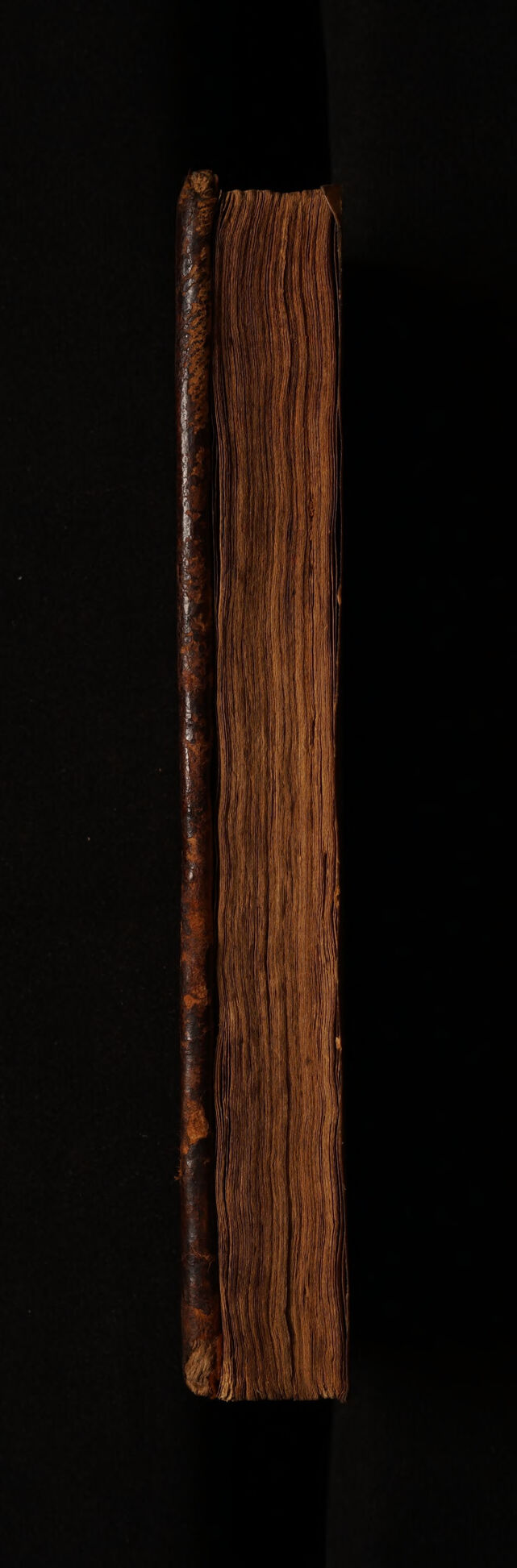 No text description is available for this image