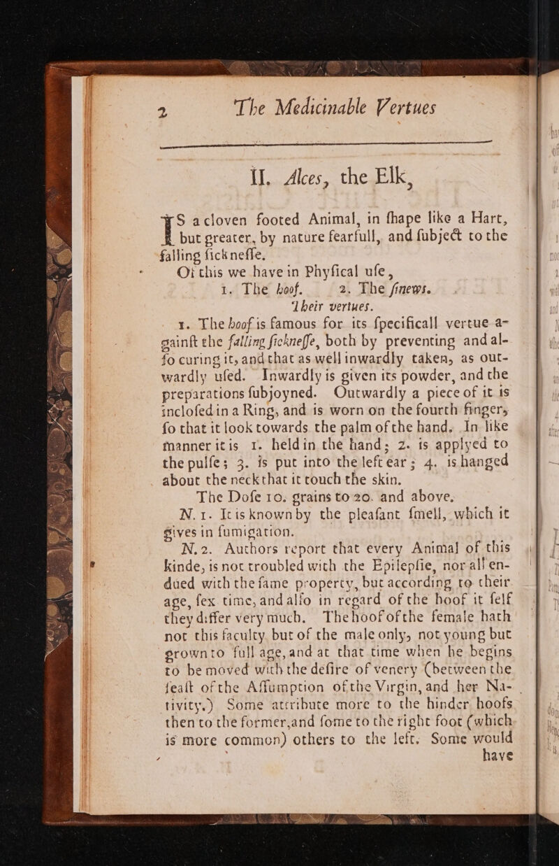 but greater, by nature fearfull, and fubject tothe failing fick neffe, Oi this we have in Phyfical ufe, 1. The hoof. 2. The /finews. ‘Their vertues. 1. The boof is famous for its fpecificall vertue-a- gaint ehe falling fickneffe, both by preventing andal- fo curing it, andthat as wellinwardly taken, as out- wardly ufed. Inwardly is given its powder, and the preparations fubjoyned. Outwardly a piece of it ts inclofedin a Ring, and ts worn on the fourth finger, fo that it look towards the palm ofthe hand, In like manner itis 1. heldin the hand; 2. ts applyed to the pulfe; 3. is put into theleftear; 4. is hanged about the neckthat it couch the skin. The Dofe 10. grains to 20. and above. N.1. Itisknownby the pleafant {mell, which it Sives in fumigation. N.2. Authors report that every Animal of this kinde, is noc troubled with the Epilepfie, nor all en- dued with the fame property, but according ro cheir. age, fex.time, andalfo in regard of the hoof it felf they differ very much. Thehoofofthe female hath noc this faculty. but of the male only, not young but erownto full age, and at that time when he begins to be moved with the defire of venery Cbetween the feaft of the Aflumption ofthe Virgin, and her Na- | tivity.) Some attribute more to the hinder hoofs then to the former,and fome to the right foot (which is more common) others to the left: Some would | have