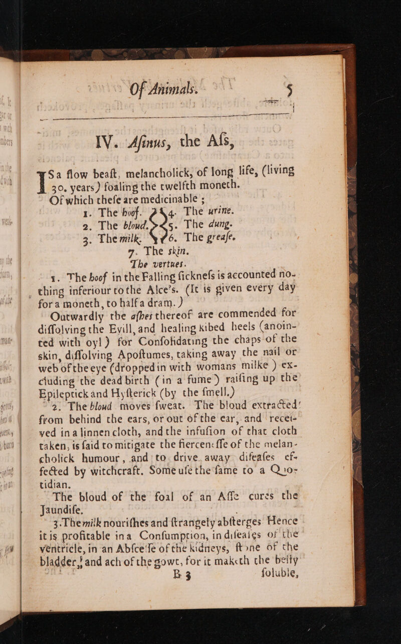 a ee nn Oe a En aT ne I IV. Afinus, the Als, Sa flow beaft, melancholick, of long life, (living | 30, years) foaling the cwelfth monecth. Of which thefe are medicinable ; 1. The boof. AX q. The urine. 2. The md 05. The dung. 3. Themilk, \¥76. The greafe. 97. The skin. The vertues. 1. The boof in the Falling ficknefs is accounted no- _ thing inferiour rothe Alce’s. (It is given every day fora moneth, to halfa dram.) ; Outwardly the afbes thereof are commended for diffolying the Evill, and healing kibed heels (anoin- ted with oy!) for Confotidating the chaps of the skin, diffolving Apoftumes, taking away the nail or web of theeye (droppedin with womans milke ) ¢x- cluding the dead birth (in a fume) raifing up the Epileptick and Hyfterick (by the fmell.) | 2. The bloud moves fweat. The bloud extracted’ from behind the ears, or out of the ear, and recet- ved inalinnencloth, andthe infufion of chat cloth caken, is faid ro mitigate the fiercenc fle of the melan- cholick humour, and’ to. drive. away difeafes cf- fected by witchcraft. Someufe the fame to a Q 10 tidian. The bloud of the foal of an Affe cures the Jaundife, ' 3.Themilk nourifhes and ftrangely abtterges. Hence itis profitable ina Confumprtioa, in dileaigs of tlie yeritricle, in an Ab{ceie of the kidneys, ftone of the bladder,! and ach of the gowr, for it mak«th the belly