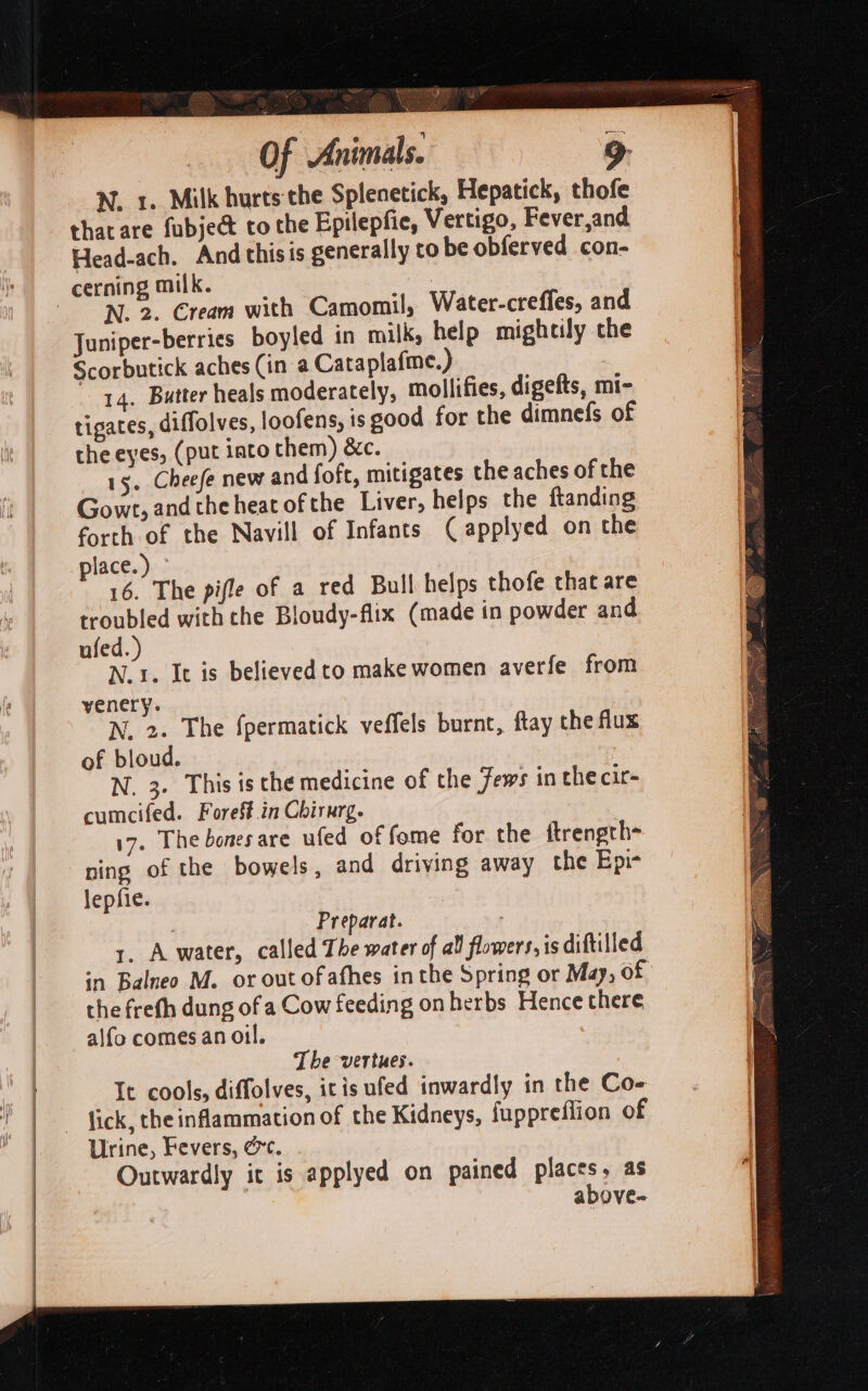 ema ow Of Animals. a N. 1. Milk hurts the Splenetick, Hepatick, thofe thatare fubject to the Epilepfie, Vertigo, Fever,and Head-ach. And thisis generally to be obferved con- cerning milk. : ONL 2. Cream with Camomil, Water-creffes, and Juniper-berries boyled in milk, help mightily che Scorbutick aches (in a Cataplafme.) 14. Butter heals moderately, mollifies, digefts, mi- tigates, diffolves, loofens, is good for the dimnefs of the eyes, (put into them) &amp;c. 15. Cheefe new and fofc, mitigates the aches of the Gowt, andthe heat ofthe Liver, helps the ftanding forth of the Navill of Infants ( applyed on the place. ) 16. The pifle of a red Bull helps thofe chat are troubled with che Bloudy-flix (made in powder and ufed.) N.1. It is believed to make women averfe from yenery. | N, 2. The fpermatick veffels burnt, ftay the flux of bloud. N. 3. This is the medicine of the ews in the cir- cumcifed. Forest.in Chirurg. 17. The bonesare ufed of fome for the ftrength- ning of the bowels, and driving away the Epi- lepfie. | Preparat. 1. Awater, called The water of al flowers, is diftilled in Balneo M. or out ofafhes in the Spring or May, of the freth dung of a Cow feeding on herbs Hence there alfo comes an oil. The vertues. It cools, diffolves, iris ufed inwardly in the Co- - fick, the inflammation of the Kidneys, fuppreflion of Urine, Fevers, &amp;c. Outwardly it is applyed on pained places, as above-