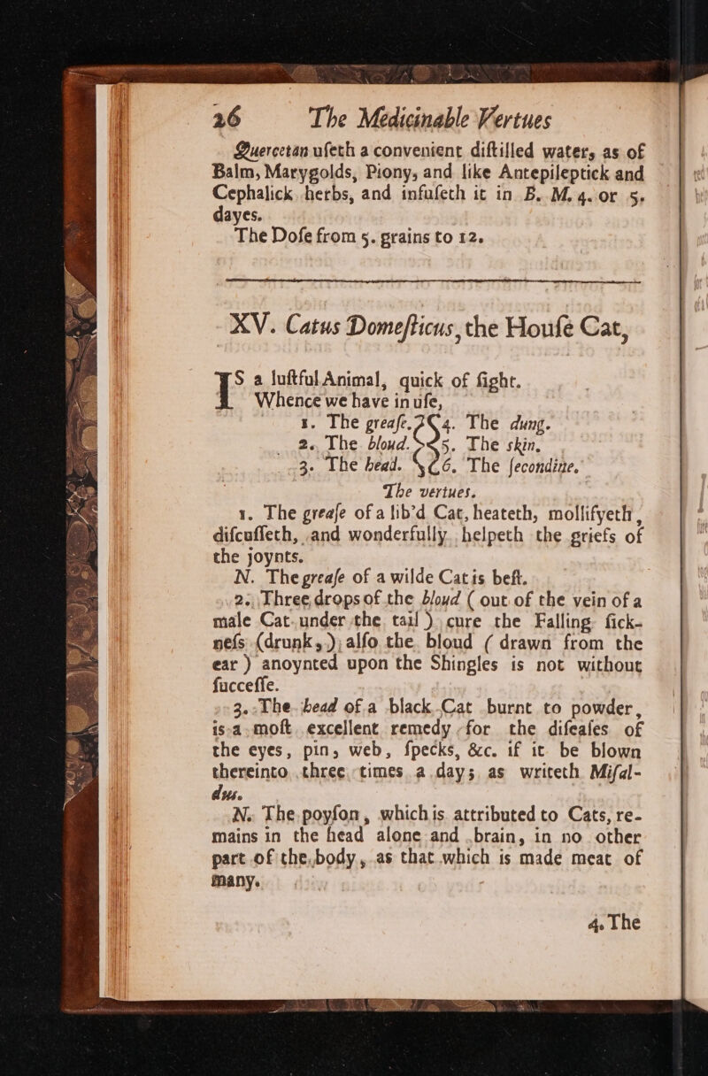 Nore \ k’&gt; 26 The Medicinable Vertues Quercetan ufeth a convenient diftilled water, as of Balm, Marygolds, Piony, and like Antepileptick and Cephalick herbs, and infafeth it in B..M.4.0r 5, dayes. The Dofe from 5. grains to 12. XV. Catus Domefticus, the Houfe Cat, 5. Lhe skin, :; The dung. 6. The fecondine. : The vertues. 1. The greafe of a lib’d Cat, heateth, mollifyeth , difcuffeth, and wonderfully helpeth the griefs of the joynts. N. Thegreafe of a wilde Catis beft. 2. Three, drops of the bloyd ( out. of the vein of a male Cat.under the. tar!) cure the Falling fick- nefs (drunk,,); alfo the bloud ( drawn from the ear ) anoynted upon the Shingles is not without fucceffe. 3.:The.jbead of a black..Cat burnt to powder, is-a.moft excellent remedy ,for the difeafes of the eyes, pin, web, fpecks, &amp;c. if it be blown thereinto. three. times a.day; as writeth Mifal- dus. N. The.poyfon, whichis. attributed to Cats, re- mains in the head alone and .brain, in no other part of the,body, as that which is made meat of many. : 4. The