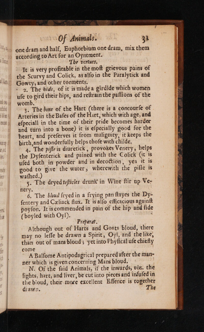 one dram and half, Euphorbium one dram, mix them according toArt for an Oyntment. | The vertues. It is very proficable in the moft grievous pains of the Scurvy and Colick, asalfoin the Paralytick and Gowty, and other torments. >. The bide, of it ismadea girdlde which women ufe to gird their hips, and reftrain the paflions of the womb. 3, The bone of the Hart (there is a concourfe of Arteries in the Bafes of the Hart, which with age, and efpeciall in the time of their pride becomes harder and turn into a bone) it is efpecially good for the heart, and preferves it from malignity, it keeps the birth,and wonderfully helps thofe with childe. 4. The pifleis diuretick , provokes Venery, helps the Dyfenterick and pained with the Colick (it 1s ufed both in powder and in decoction, yea it is good to give the water, wherewith the pifle ts wafhed.) s. The dryed tefticles drunk in Wine ftir up Ve- nery. 6, The bloud fryedin a frying pan ftayes the Dy- fentery and Czliack flux. Tt is alfo efficacious againft poyfon. Ic iscommended in pain of the hip and fide (boyled with Oyl). ; Preparat. Although out of Harts and Goats bloud, there may no leffe be drawn a Spirit, Oy!, and the like, than out of mansbloud; yet into Phyfical ufe chiefly come A Balfome Antipodagrical prepared after the man- ner which is given concerning Mans bloud. | N. Of the faid Animals, if the inwards, viz. the fights, hart, and liver, be cut into pieces and infufed in the bioud, their mare excellent Effence: is together drawn. T he