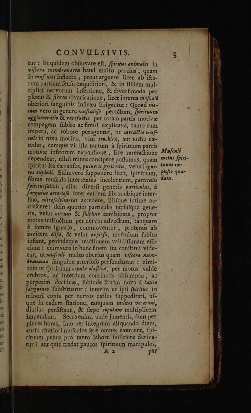 tur : Et quidem obfervare eft, fpiritus animales. in vifcera. membranacea haud. multo. parcius , quam in mufzules influere ; proutarguere licet ab ifta- rum partium fenfu exquifitiori, &amp; in iifdem mul- tüplici nervorum infertione, &amp; diverfimoda per plexus &amp; fibras divaricatione ; licet interea »sfius uberiori fanguinis influxu irrígantur : Quoad »re- Inn Yero in genere »wfculofo pera&amp;um, fpiritum agglomeratio &amp; rarefa&amp;lio per totam partis motiva compagem fubito acfimul explicate, tanto cum impetu, ac robore peraguntur, ut attra£fio muf- culiin nixu motivo, vim trekbles, aut vedlis ex- cedat ; cumque vis ifta tantum à fpirituum partis motiva infitorum expanfione , five rarefa&amp;tione dependeat, nihil minus concipere poffumus, quam fpiritus ita expanfos, pulueris pyrii vitu, veluti 1gm- 121 explodi. Enimvero fupponere licet, fpirituum, fibras mufculointertextas incolentium, particulis fpiritwofalinis , alias diverfi generis particulas, à fanguine arteriofà inter eafdem fibras ubique inter- fluo, nitrofalpbureas accedere, illifque intime ac- crefcere: dein quoties particule utriufque gene- ris, velut nitrsm &amp; fulphnr combinata , propter motus inftin&amp;tum per nervos adve&amp;tum, tanquam à fomite ipnatio, commoventur, protenus ab invicem elsf(2, Gc velut explofa, mufculum fübito inflant, proindeque tra&amp;ionem validiffirnam effi- ciunt: enimvero in huncfinem ita conftitui vide- tur, ut zzsfiuli multo uberius quam. vifcera zmem- branacea. fanguine arteriofo perfundantur : nimi- rum ut fpirituum copule elaflica, per motus valde crebros, ac interdum continuos abfümpte, ac perpetim deciduz, fübinde ftatim nova à /azíce fangmineo. fübftituatur : interim ut ipfi fpiritus 1a minori copia per nervos exiles fuppeditati, uf- que in' eadem ftatione, tanquam milites vet erani, diutius perfiftant, &amp; fsepe eopswlam multiplicem impendant. Secusenim, unde jumentis, dum per plures horas, imo per integrum aliquando diem, curíu citatiori mufculos fere omnes exercent, fpi- rituum penus pro tanto labore fufficiens deriva- tur? aut quis credat paucos fpirituum manipulos, A2 pet M sfcnli motus fpiri- Tuum ex- plfie qua- dao».