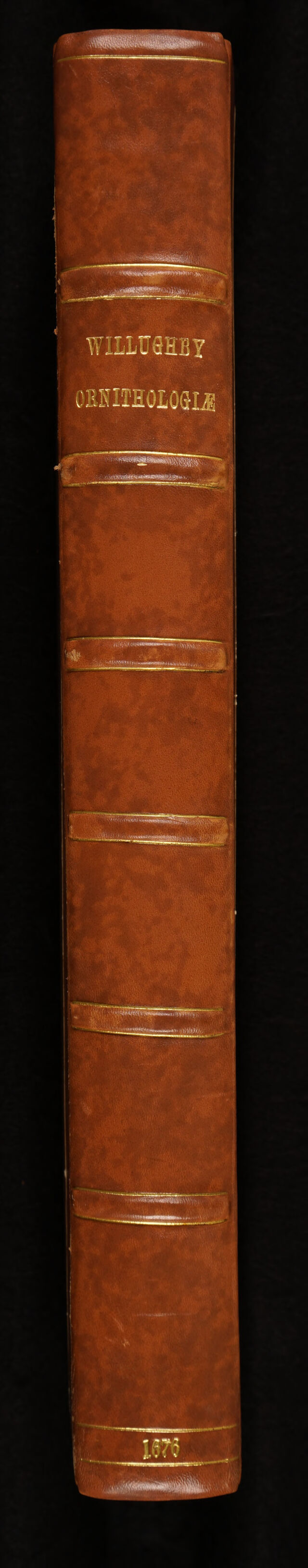 No text description is available for this image