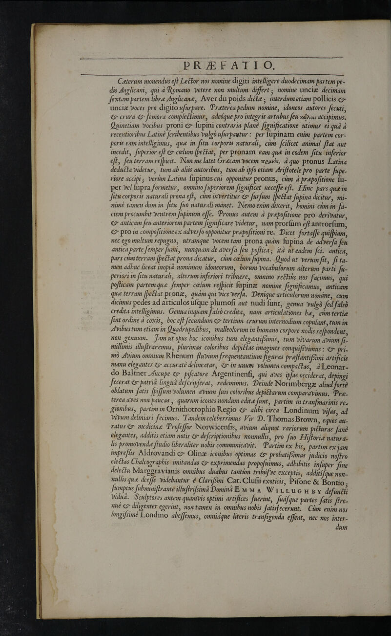 Ceterum monendus efl LeElor nos nomine digiti intelligere duodecimam partem pe¬ dis Anglkani, qui d Romano Vetere non multum differt · nomine unciae decimam fextam partem librae Anglicana, Aver du poids dtcia ■ interdum etiam pollicis 6t* unciae Voces pro digito ufurpare. D rater ea pedum nomine, idoneos autores fecutiy & crura femora complectimur, adeoque pro integris artubusfeu -xmXois accipimus. Quinetiam Vocibus proni 67* fupini contraria plane fignificatione utimur ei qua d recentioribus Latine fcribentibus Vulgo ufurpavtur: per lupinam enim partem cor¬ poris eam intelligimus, qua in fitu corporis naturali, cum fcilicet animal flat aut incedit, fuperior efl & coelum [pectat, per pronam eam qua in eodem fitu inferior efl, feu terram rejpicit. Non me latet Graecam vocem Tr&nvk, d quo pronus Latina deducia Videtur, tum ab aliis autoribus, tum ab ipfo etiam Ariflotele pro parte fupe- riore accipi · Verum Latina lupinus cui opponitur pronus, cum d prapofitione iu- per Vel Cupra, formetur, omninofuperior emflgnificet necejfeefl. Hinc pars quae in fitu corporis naturali prona efl, cum invertitur furfum [pe Si atJupina dicitur, mi¬ nime tamen dum in fitu juo naturali manet. Nemo enim dixerit, homini cum in fa¬ ciem procumbit Ventrem Jupinum effe. Dronus autem d proepofitione pro derivatur, & anticam feu anteriorem partem jigniflcare videtur, nam prorium efl antrorlum, <6?* pro in compofitionetx adverfo opponitur prapofitmi re. Dicet fortajfe quijpiam, nec ego multum repugno, utramque Vocem tam prona quam lupina de adVerfa feu antic apartefemperfumi, nunquam de averfa feu poftica- ita ut eadem fci. antica, pars cum terram JpeSlat prona dicatur, cum coelumfupina. Quod ut Verum fit, fi ta¬ men adhuc liceat inopia nominum idoneorum, horum Vocabulorum alterUm parti fu- periori in fitu naturali, alterum inferiori tr ibuere, omnino reSlius nos facimus, qui pofiicam partem qua femper coelum rejpicit lupinae nomine fignificamus, anticam quce terram fpeSiat pronae, quam qui vice Verfa. Denique articulorum nomine, cum dicimus pedes ad articulos ufque plurnofi aut nudi funt, genua vulgo fed falso credita intelligimus. Genua inquamfalso credita, nam articulationes hae, cum tertiae fint ordine d coxis, hoc e fi fecundum 6t* tertium crurum internodium copulant, tum in Anibus tum etiam in Quadrupedibus, malleolorum in humano corpore nodis refpondent, non genuum. Jam ut opus hoc iconibus tum elegant fimis, tum Vivarum aViumfu millimis illufir aremus, plurimas coloribus depiBos imagines conquifivimus: 6t* pri¬ mo Avium omnium Rhenum fluVium frequentantium figuras prae flanti fimi artificis manu eleganter o accurate delineatas, O in unum Volumen compaSlas, d Leonar¬ do Baltner Jucupe O pifcatore Argentinenfi, qui aves ipfas occiderat, depimi fecerat O patria lingua defer ipfer at, redemimus. Deinde Norimberg^ aliud forte oblatum fatis fpiffum Volumen avium fuis coloribus depiSlarum comparavimus. Tra- terea aves non paucas, quarum icones nondum edita funt, partim m tranfmarinis re¬ gionibus, partim in Ornithotrophio Regio O alibi circa Londinum vifas, ad ViVum deltniari fecimus. Tandem celeberrimus Vir D. Thomas Brown, eques au¬ ratus Ο medicina Drofeffor Norwicenfis, avium aliquot rariorum piSluras fane elegantes, additis etiam notis O deferiptionibus nonnullis, pro fuo Hifloria natura¬ lis promovendaftudio liber aliter nobis communicavit. Dartim ex his, partim ex jam imprefiis Aldrovandi 67* Olinae iconibus optimas O probatfimos judicio noftro de bias Chalcographis imitandas 6t* exprimendas propofuimus, adhibitis infuper fine delectu Marggravianis omnibus duabus tantum tribufve exceptis, additifque non¬ nullis qua dee fife videbantur e Clarfimi Car.Clufi i exoticis, Pifone & Bontio · fumptus fubrmniftrante illuflrifsimd Domina Emma Willughby defundi Vidua. Sculptores antem quamvis optimi artifices fuerint, fudfque partes fatis flre- nue 6Γ diligenter egerint, non tamen in omnibus nobis fatisfecerunt. Cum enim nos longifsime Londino abeffemus, omnidque literis tranfigenda effent, nec nos inter¬ dum