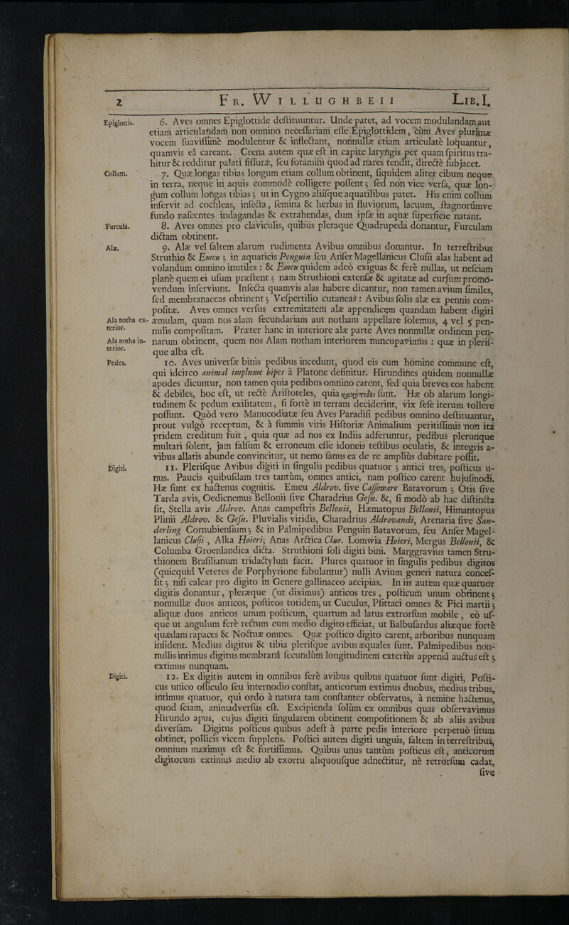 F R. W I L L U G Η B E I I Lib. I. Epiglottis. Collutn. Furcula. Alar. Ala notha ex terior. Ala notha in¬ terior. Pedes. Digiti. _ . · o Drgiti. 6. Aves omnes Epiglottide deftituuntur. Unde patet, ad vocem modulandam aut etiam articulandam non omnino neceffariam effe Epiglottidem, cimi Aves plurirme vocem fuaviifime modulentur Sc infle&ant, nonnulla etiam articulate loquantur , quamvis ei careant. Crena autem quae eft: in capite laryfigis per quam fpiritus tra¬ hitur St redditur palati fifiura?, feu foramihi quod ad nares tendit, dire&e fubjacet. 7. Quae longas tibias longum etiam collum obtinent, fiquidem aliter cibum neque in terra, neque in aquis commode colligere poffent 5 fed non vice verfa, qua? lon¬ gum collum longas tibias 5 ut in Cygno aliifque aquatilibus patet. His enim collum infervit ad cochleas, infe&a, femina Sc herbas in fluviorum, lacuum, ftagnorumve fundo nafcentes indagandas Sc extrahendas, dum ipfa? in aquie fuperficie natant. 8. Aves omnes pro claviculis, quibus pleraque Quadrupeda donantur, Furculam diftam obtinent. 9. Ala? vel faltem alarum rudimenta Avibus omnibus donantur. In terreftribus Struthio Sc Emeu 3 in aquaticis Penguin feu Anfer Magdlanicus Cluiii alas habent ad volandum omnino inutiles: Sc Emeu quidem adeo exiguas Sc fere nullas, ut nefciam plane quem ei ufum praftent 5 nam Struthioni extenfa? Sc agitata? ad curfum promo¬ vendum inferviunt. Inie&a quamvis alas habere dicantur, non tamen avium fimiles, fed membranaceas obtinent, Vefpertilio cutaneas : Avibusfolis ala? ex pennis com- politae. Aves omnes verfus extremitatem ala? appendicem quandam habent digiti - aemulam, quam nos alam fecuiidariam aut notham appellare folemus, 4 vel 5 pen¬ nulis compoiitam. Praeter hanc in interiore ais parte Aves nonnullae ordinem pen¬ narum obtinent, quem nos Alam notham interiorem nuncupavimus: quae in plerif- que alba eft. 10. Aves univerfa? binis pedibus incedunt, quod eis cum homine commune eft, qui idcirco animal implume bipes a Platone definitur. Hirundines quidem nonnulls apodes dicuntur, non tamen quia pedibus omnino carent, fed quia breves eos habent Sc debiles, hoc eft, ut rette Ariftoteles, quia >yaymtos funt. Hae ob alarum longi¬ tudinem Sc pedum exilitatem, fi forte in terram deciderint, vix fefe iterum tollere poflunt. Quod vero Manucodiatae feu Aves Paradifi pedibus omnino deftituantur, prout vulgo receptum, Sc a flimmis viris Hiftorim Animalium peritiffimis non ita pridem creditum fuit, quia quae ad nos ex Indiis adferuntur, pedibus plerunque multari folent, jam falfum Sc erroneum effe idoneis teftibus oculatis, Sc integris a- vibus allatis abunde convincitur, ut nemo fanus ea de re amplius dubitare poflit. 11. Plerifque Avibus digiti in lingulis pedibus quatuor 3 antici tres, pofticus u- nus. Paucis quibufdam tres tantum, omnes antici, nam poftico carent hujufmodi. Hs funt ex haftenus Cognitis. Emeu Aldrov. five Cajjbware Batavorum 3 Otis five Tarda avis, Oedicnemus Bellonii five Charadrius Gejh. Sc, fi modo ab hac diftinfta fit, Stella avis Aldrov. Anas campeftris Bellonii, Haematopus Bellonii, Himantopus Plinii Aldrov. Sc Gefn. Pluvialis viridis, Charadrius Aldrovandi, Arenaria five San- derling Cornubienfium 3 Sc in Palmipedibus Penguin Batavorum, feu Anfer Magel- lanicus Clufii, Alka Hoieri$ Anas Arftica Cius. Lomwia Hoieri, Mergus Bellonii, 8c Columba Croenlandica difta. Struthioni foli digiti bini. Marggravius tamen Stru¬ thionem Brafilianum tridaftylurti facit. Plures quatuor in lingulis pedibus digitos (quicquid Veteres de Porphyrione fabulantur) nulli Avium generi natura conceft fit 3 nifi calcar pro digito in Genere gallinaceo accipias. In iis autem quae quatuor digitis donantur, pleraeque (ut diximus) anticos tres, pofticum unum obtinent 3 nonnullae duos anticos, pofticos totidem, ut Cuculus, Pfittaci omnes Sc Pici martii 3 aliquae duos anticos unum pofticum, quartum ad latus extrorfltm mobile, eo uf- que ut angulum fere redtum cum medio digito efficiat, ut Balbufardus alisque forte quaedam rapaces Sc Nodtuae omnes. Quae poftico digito carent, arboribus nunquam infident. Medius digitus Sc tibia plerifque avibus squales funt. Palmipedibus non¬ nullis intimus digitus membrana fecundum longitudinem exterius appensa au&us eft 3 extimus nunquam. 12. Ex digitis autem in omnibus fere avibus quibus quatuor funt digiti, Pofti¬ cus unico ofticulo feu internodio conftat, anticorum extimus duobus, medius tribus, intimus quatuor, qui ordo a natura tam conftanter obfervatus, a nemine hadtenus, quod fciam, animadverfus eft. Excipienda folum ex omnibus quas obfervavimus Hirundo apus, cujus digiti lingularem obtinent compofitionem Sc ab aliis avibus diverfam. Digitus pofticus quibus adeft a parte pedis interiore perpetuo fitum obtinet, pollicis vicem fupplens. Poftici autem digiti unguis, faltem in terreftribus, omnium maximus eft Sc fortiffimus. Quibus unus tantum pofticus eft, anticorurii digitorum extimus medio ab exortu aliquoufque adne&itur, ne retrorfusi cadat, five