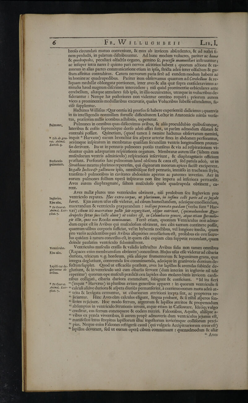 Pulmones, * Lib. de gene- rat. Animal. Exercit. 3. Perforatio pulmonum. Ingluvies. Ejus ufus„ * De Generat. Animal. Exer¬ citat. 7. Ventriculus. Ejus ufus. Lapilli cur de- giutiantur ab avibus. * De Generat. Animal. Exer¬ citat. 7. ___Lib. I. brofo circundati mutuo conveniunt, Sc mox ab invicem abfeedentes, Sc ad roftri fi¬ nem perdu&i, in palatum diftribuuntur. Ad hunc modum volucres, pariter ac homo & quadrupedes, peculiari olfa&us organo, gemino fc. procejfu mammillari inftruuntur 5 ac iniuper intra nares e quinto pari nervos afeititios habent 5 quorum a&ione &: ra¬ morum in alias partes communicatione etiam in ipfis, ftri&a adeo inter olfadtum & gu- ftum affinitas contrahitur. Castera nervorum paria fere ad eundem modum habent ac in homine ac quadrupedibus. Pariter item obfervamus quantum ad Cerebellum re¬ liquam medullas oblongata? portionem, inter aves 8c alia quae iupra confideravimus a- nimalia haud magnum diferimen intercedere } nifi quod prominentiae orbiculares ante cerebellum, aliaeque annulares fub ipfo, in illis occurrentes, utrasque in volucribus de- fiderantur : Nempe hae pofteriores non videntur omnino requiri 5 priorum autem vices a prominentiis medullaribus excavatis, quales Volucribus fubeife oftendimus, fa¬ cile fupplentur. Hadtenus Willifius: Quas omnia ita prorfus fe habere experientia didicimus 5 quamvis in iis intelligendis nonnullam fortafle difficultatem Lefror in Anatomicis minus veria- tus, praeiertim nullis iconibus adhibitis, experietur. Pulmones in omnibus quas diifecuimus avibus, & aliis proculdubio quibufeunque, lateribus &: coftis iupremoque dorio adeo affixi font, ut parum admodum dilatari & contrahi poffint. Quinetiam, (quod tamen a nemine hattenus obferVatum memini, inquit * Harvaeus) earum bronchia? feu aipera? arteriae fines in abdomen perforantur, aeremque infpiratum in membranas quafdam iecundum Ventris longitudinem proten- ias derivant. Ita ut in pennatis pulmones potius tranfitus & via ad reipirationem vi¬ deantur quam adaequatum refpirationis organum. Membrana? autem illae (faltem cum mufeulorum ventris adminiculo) reipirationi inferviunt, & diaphragmatis officium prasftant. Perforatio haec pulmonum haud obfcura & caca eft, fed patula adeo, ut in Struthione meatus plurimos repererim, qui digitorum meorum apices facile exciperent. In gallo Indico & gallinaceo ipfo, omnibufque fere pennatis, immiilo in tracheam ftylo, tranfitus e pulmonibus in cavitates abdominis apertos ac patentes invenias. Aer in eorum pulmones follium opera inipiratus non fine impetu ad inferiora pertranfit. Aves autem diaphragmate, ialtem mufeulofo quale quadrupeda obtinent, ca¬ rent. Aves nullas plures uno ventriculos obtinent, nifi prolobum feu Ingluviem pro ventriculo reputes. H<ec extra corpus, ut plurimum, in infima colli parte ad os jugale karet. Ejus autem ufus eife videtur, ad cibum hume&andum, adeoque emolliendum, macerandum ventriculo praeparandum : indeque pennata quadam (verba font * Har- vasi) cibum ita maceratum pullis fuis regurgitant, eofque nutriunt, (quemadmodum Qua¬ drupedes fcetus fisos laUe alunt) ut videre efi, in Columbaceo genere, atque etiam fiermolo¬ gis illis, quos nos Rooks nominamus. Forte etiam, quoniam Ventriculus non admo¬ dum capax eft iis Avibus qui mufculofum obtinent, nec cibi tantum continere poffit, quantum ufibus corporis fufficiat, vel in hybernis no&ibus, vel longiore inedia, quam pro variis accidentibus pati Avibus aliquoties neceflarium eft, prolobus eis ceu iaccu- lus quidam a natura conceftus eft, in quem cibi copiam cum iuppetit recondant, quam deinde paulatim ventriculo fubminiftrent. Ventriculus mufeulis craffis & validis inftruttus Avibus folis non tamen omnibus (Rapaces enim membranofum obtinent) conceditur. Hujus ufus eife videtur ad cibaria duriora, triticum v.g. hordeum, piia aliaque frumentorum Sc leguminum grana, qme integra deglutiunt, conterenda feu comminuenda, adeoque in granivoris dentium de- feftum fupplet. Quod ut efficacius prasftent, aves has lapillos &: arenulas fubinde de¬ glutiunt, & in ventriculo una cum cibariis fervant (dum interim in ingluvie nil tale reperitur) quorum ope mufeuli prasdifti ceu lapides duo molares binis invicem cardi¬ nibus colligati, cibaria duriora commolunt, fubigunt 8c conficiunt. “ Id ita fieri cc (inquit * Harvasus) in pluribus avium generibus apparet : in quorum ventriculis ii “ calculi aliave duriora Sc aipera diutius permanferint, a continuo eorum motu adeo at¬ trita tk levigata cernuntur, ut cibariorum attritioni inepta fint, ac propterea re¬ jiciantur. Hinc Aves cum calculos eligunt, lingua probant, 8c fi nihil aiperos fen- ferint rejiciunt. Hoc modo ferrum, argentum & lapillos attritos & propemodum abfumptos in ventriculo Strutionis inveni, atque etiam in Caifoware. Ideoq; vulgo “ creditur, eos ferrum concoquere 8t eodem nutriri. Falconibus, Aquilis, aliifque a- “ vibus ex prada viventibus, fi aurem prope admoveris dum ventriculus jejunus eft, 41 manifeftos intus ftrepitus lapillorum illuc ingeftorum invicemque colliforum perci- cc pias. Neque enim Falcones refrigerii causa (qui vulgaris Accipitrariorum error eft) 4i lapillos devorant, fed ut eorum opera cibum comminuant : quemadmodum & alia? “ Aves cc cc cc cc 1