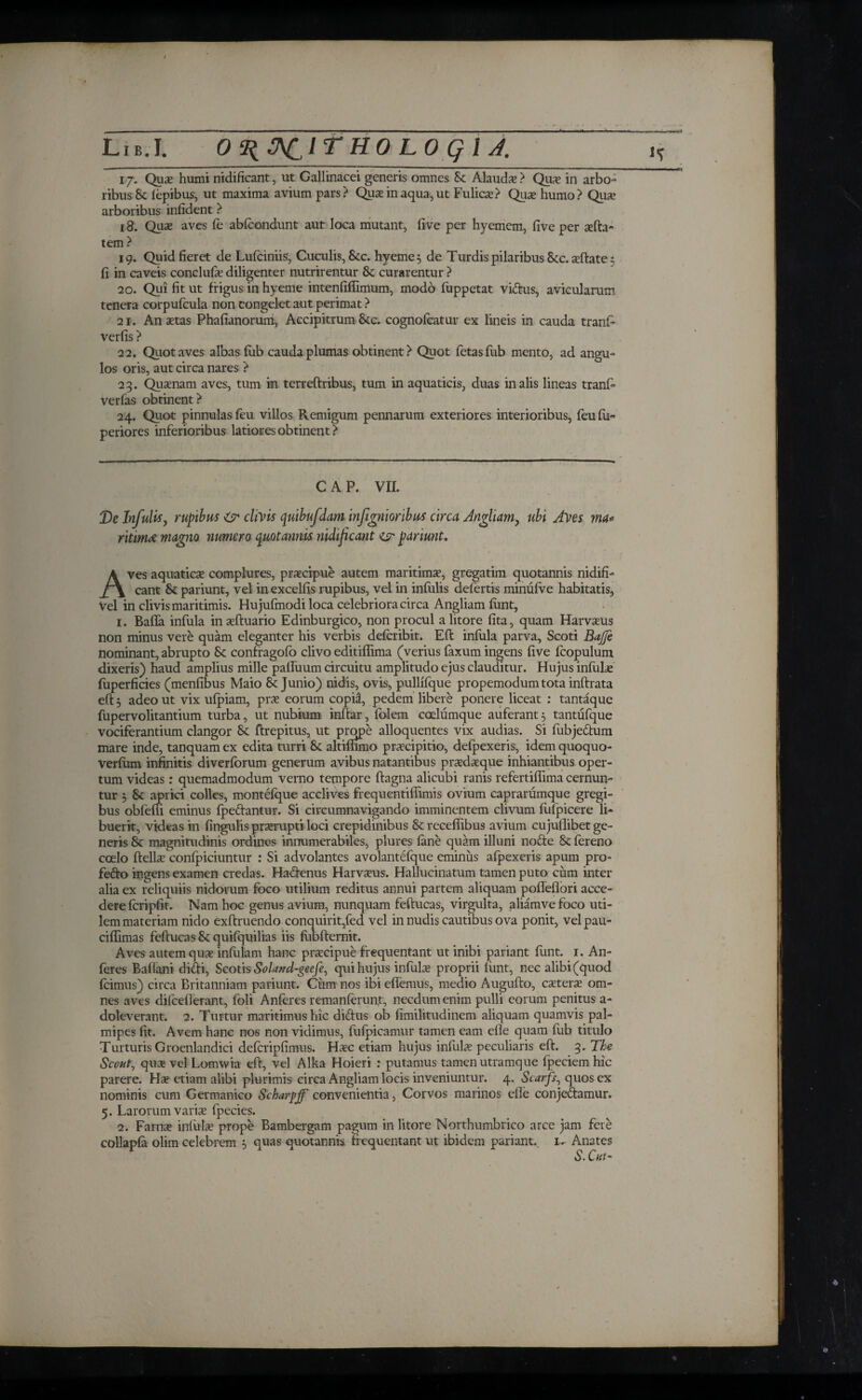 / Lib.I. O^^CITHOLOQIA. 17. Quse humi nidificant, ut Gallinacei generis omnes Sc Alauda ? Quse in arbo¬ ribus & iepibus, ut maxima avium pars? Quse in aqua, ut Fulica? Quse humo? Qua? arboribus infident ? 18. Qua? aves fe abicondunt aut loca mutant, five per hyemem, five per sefta- tem ? 19. Quid fieret de Lufciniis, Cuculis, See. hyeme$ de Turdis pilaribus See. adfate: fi in caveis conclufse diligenter nutrirentur Sc curarentur ? 20. Qui fit ut frigus in hyeme intenfiffimum, modo fuppetat vidus, avicularum tenera corpuicula non congelet aut perimat? 21. An aetas Phafianorum, Accipitrum See. cognoicatur ex lineis in cauda tranf· verfis ? 22. Quotaves albas Tub cauda plumas obtinent ? Quot fetas Tub mento, ad angu¬ los oris, aut circa nares ? 23. Quinam aves, tum in terreftribus, tum in aquaticis, duas in alis lineas tranfi- verfas obtinent? 24. Quot pinnulas feu villos Remigum pennarum exteriores interioribus, feuiu- periores inferioribus latiores obtinent? '■ ■ ■ Ir) CAP. VII. De Infulis, rupibus & chvis quibufdam infignioribus circa Angliam, ubi Ayes ma* ritimat magno numero quotannis nidificant pariunt. Aves aquatics complures, praecipue autem maritimae, gregatim quotannis nidifi¬ cant Sc pariunt, vel in excelfis rupibus, vel in infulis defertis minufve habitatis, Vel in clivis maritimis. Hujufmodi loca celebriora circa Angliam iunt, 1. Bafla infula in seftuario Edinburgico, non procul a litore fita, quam Harvsus non minus vere quam eleganter his verbis deferibit. Eft infula parva, Scoti Bajje nominant, abrupto Sc confragoio clivo editiflima (verius faxum ingens five icopulum dixeris) haud amplius mille pafiuum circuitu amplitudo ejus clauditur. Hujus infuhe iuperficies (menfibus Maio & Junio) nidis, ovis, pullifque propemodumtota inftrata eft 5 adeo ut vix uipiam, prse eorum copisf, pedem libere ponere liceat : tantaque fupervolitantium turba, ut nubium inftar, folem caelumque auferant5 tantufque vociferantium clangor Sc ftrepitus, ut prope alloquentes vix audias. Si fubjedum mare inde, tanquam ex edita turri Sc altifiimo prsecipitio, deipexeris, idem quoquo- Verium infinitis diveribrum generum avibus natantibus prsdsque inhiantibus oper¬ tum videas: quemadmodum verno tempore ftagna alicubi ranis refertiffima cernun¬ tur $ Sc aprici colles, montefque acclives frequentiflimis ovium caprarumque gregi¬ bus oblefii eminus fpedantur. Si circumnavigando imminentem clivum iufpicere li¬ buerit, videas in fingulis prorupti loci crepidinibus & receflibus avium cujullibet ge¬ neris Sc magnitudinis ordines innumerabiles, plures iane quam illuni node Sc iereno coelo ftellse conipiciuntur : Si advolantes avolantefque eminus afpexeris apum pro- fedo ingens examen credas. Hadenus Harvseus. Hallucinatum tamen puto cum inter alia ex reliquiis nidorum foco utilium reditus annui partem aliquam pofleflori acce¬ dere fcripfi t. Nam hoc genus avium, nunquam feftucas, virgulta, aliamvefoco uti¬ lem materiam nido exftruendo conquirit,fed vel in nudis cautibus ova ponit, velpau- ciffimas feftucas Sc quifquilias iis fubftemit. Aves autem quse infulam hanc prsecipue frequentant ut inibi pariant iunt. 1. An- feres Baflani didi, Scotis Soland-geefe, qui hujus infulse proprii funt, nec alibi (quod fcimus) circa Britanniam pariunt. Cum nos ibi eifemus, medio Augufto, eseterse om¬ nes aves difcefierant, foli Anferes remanferun,t, necdum enim pulli eorum penitus a- doleverant. 2. Turtur maritimus hic didus ob fimilitudinem aliquam quamvis pal¬ mipes fit. Avem hanc nos non vidimus, fuipicamur tamen eam eile quam fub titulo Turturis Groenlandici defcripfimus. Hsec etiam hujus infulse peculiaris eft. 3. The Scout, quse vel Lomwia eft, vel Alka Hoieri : putamus tamen utramque fpeciem hic parere. Hse etiam alibi plurimis circa Angliam locis inveniuntur. 4. Scarfs, quos ex nominis cum Germanico Scharpjf convenientia, Corvos marinos efle conjedamur. 5. Larorum varise fpecies. 1 2. Farnse infula? prope Bambergam pagum in litore Northumbrico arce jam fere collapia oli-m celebrem 5 quas quotannis, frequentant ut ibidem pariant, i- Anates S. Cut-