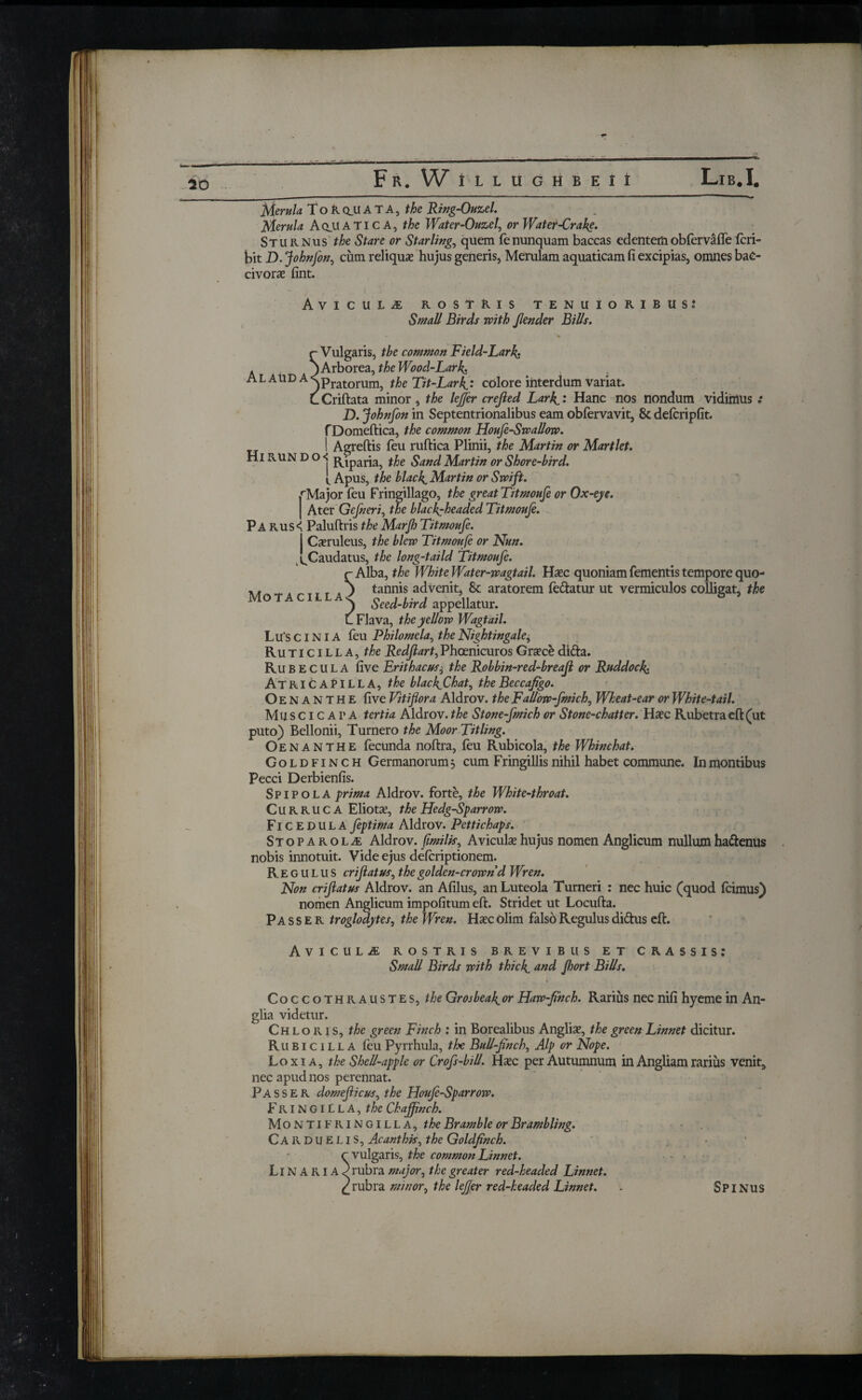 Merula. T o R QJI A T A, the Ring-Ouzel. Merula Aquati C A, the Water-Ouzel, or Water-Crake. Sturnus the Stare or Starling, quem ie nunquam baccas edentemobfervafle icri- bit D. Johnfon, cum reliqua hujus generis, Merulam aquaticam fi excipias, omnes baC- civorx fint. Avicuu ROSTRIS tenuioribus: Small Birds with βender Bills. tTi—±L..d-Larkj colore interdum variat. Criftata minor , the leJJer crefted Larkl: Hanc nos nondum vidimus ·* D. Johnfon in Septentrionalibus earn obfervavit, 8c defcripfit. fDomeftica, the common Houfe-Swallow. [ Apus, the blacky Martin or Swift. ,rMajor feu Fringillago, the great Titmoufe or Ox-eye. j Ater Gefneri, the black^headed Titmoufe. PA RUS< Paluftris the Marjh Titmoufe. Casruleus, the blew Titmoufe or Nun. ^Caudatus, the long-taild Titmoufe. ail- xi, --gtail. Haec quoniamfementistemporequo- torem fe&atur ut vermiculos colligat, the Lu's CINIA feu Philomela, the Nightingale, Ruticilla, the Redftart,Phoenicuros Graecedi&a. Ru becula five Erithacu*i the Robbin-red-breaft or Ruddock· ATRIC APlLLA, the blackChat, the Beccafigo. Oenanthe five Vitiflora Aldrov. the Fallow-fmich, Wheat-ear or White-tail. Muse I CAPA tertia Aldrov. the Stone-fmich or Stone-chatter. Haec Rubetra eft (ut puto) Bellonii, Turnero the Moor Titling. Oenanthe fecunda noftra, feu Rubicola, the Whin chat. Goldfinch Germanorum j cum Fringillis nihil habet commune. In montibus Pecci Derbienfis. Spipola prima Aldrov. forte, the White-throat. Curruca Eliotae, the Hedg-Sparrow. Ficedula feptima Aldrov. Pettichaps. Stoparola Aldrov. fimilis, Aviculae hujus nomen Anglicum nullum ha&enus nobis innotuit. Vide ejus deferiptionem. Regulus criftatus, the golden-crown d Wren. Non criftatus Aldrov. an Afilus, an Luteola Tumeri : nec huic (quod Icimus) nomen Anglicum impofitum eft. Stridet ut Locufta. Passer troglodytes, the Wren. Haec Olim falso Regulus di&us eft. Avicula rostris brevibus et crassis: Small Birds with thick. and fhort Bills. Coccothraustes, the Grosbeak.or Haw-fihch. Rarius nec nifi hyeme in An¬ glia videtur. Chlor i s, the green Finch : in Borealibus Anglia?, the green Linnet dicitur. Ru B i c i L L A feu Pyrrhula, the Bull-finch, Alp or Nope. Loxi a, the Shell-apple or Crofs-bill. Haec per Autumnum in Angliam rarius venit, nec apud nos perennat. Passer domefticus, the Houfe-Sparrow. Fringilla, the Chaffinch. MontifRINgilla, the Bramble or Br ambling. Carduelis, Ac ant his, the Goldfinch. Linaria ·t. Spinus