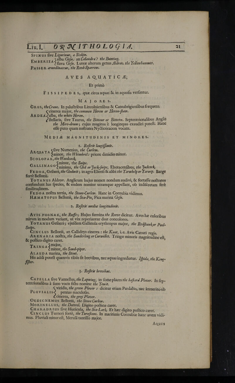 LtB.I. O^&CITHO Log u. — - T · ^ ■ 'I ■11  ■ M—— ~* *■ ' — Sp IN U S five Ligurin us, a Siskin. F r f r t 7 a 3 aiba. Gefn. an Calandra } the Bunting. . B 2 flava Gefn. Luteae alterum genus Aldrov. the Yellowhammer. PASSER arundinaceus, the Reed-Sparrow* A V E S A Q_U A T ί C JE, Et primo F i s s i P E D E s, qus circa aquas 8c in aquofis verfantur. M A J O RE s. Grus, the Crane. In paluftribus Lincolnienfibus 8c Cantabrigienfibus frequens. Γ cinerea major, the common Heron or Heron-fjaw. A R D E AValba, the white Heron. ^ftellaris, five Taurus, the Bittour or Bittern. Septentrionalibus Anglia the Mire-drum 5 cujus mugitus e longinquo exaudiri poteft. Hanc efleputo quam noftrates Nycticoracem vocant. Mediae magnitudinis et minores. i. Roftris longiffimis. Λ r An δ t δ ^fiye Numenius, the Curlew. ^ ^ minor, theWhimbrel: priore dimidio minor. Scolopax, the Woodcock. _ S minor, the Snipe. OALLINAGO^minima, theGidorJaclffnipe, Eboracenfibus, the Judcock; Fedoa, Gefiieri, the Godwit 3 in agro Elienfi 8c alibi the Tarwhelp or Yarwip. Barge forte Bellonii. Totanus Aldrov. Anglicum hujus nomen nondum audivi, Sc fortaflenoftrates confundunt has fpecies, 8c eodem nomine utramque appellant, ob indiicretam fere fimilitudinem. Fedoa noftra tertia, the Stone-Curlew. Hancin Cornubiavidimus. H^MATOPUS Bellonii, the Sea-Pie, Pica marina Gefn. 2. Rofris medi£ longitudinis. Avis pugnax, the Ruffe^ Hujus foemina the Reeve dicitur. Aves hs coloribus mirum in modum variant, ut vix reperiantur dus concolores. Totanus Gefneri 5 ejufdem Gallinula erythropus major, the Redfiankjor Pool· Snipe. Cinclus Bellonii, an Callidrys cinerea : the Knot, i.e. Avis Canuti regis. Arenaria noftra, the Sander ling or Curwillet. Tringx minoris magnitudine eft & poftico digito caret. 3 TRINGA4maj°r> „ , . C minor, the Sand-piper. Alauda marina, the Stint. His addi poteft quamvis tibiis fit brevibus, nec aquas ingrediatur. Mida, the Kim- fjher. %. Rofris brevibus. C A P E L L A five Vannellus, the Lapwing, in fome places the baflard Plover. In iep·* tentrionalibus a ibno vocis fido nomine the Tewit. ^ C viridis, the green Plover : dicitur etiam Pardalus, nec immerito ob Pluvialis< pennas maculoias. C cinerea, the grey Plover. OEDICNEMUS Bellonii, the Stone Curlew. Morinellus, the Dottrel. Digito poftico caret. Ch A R A D RI u s five Hiaticula, the Sea-Lark. Et hxc digito poftico caret. Cinclus Tumeri forte, theYumfone. In maritimis Cornubia? hanc avem vidi* mus. Pluviali minor eft, Meruli tantillo major. 21 Aqjiis