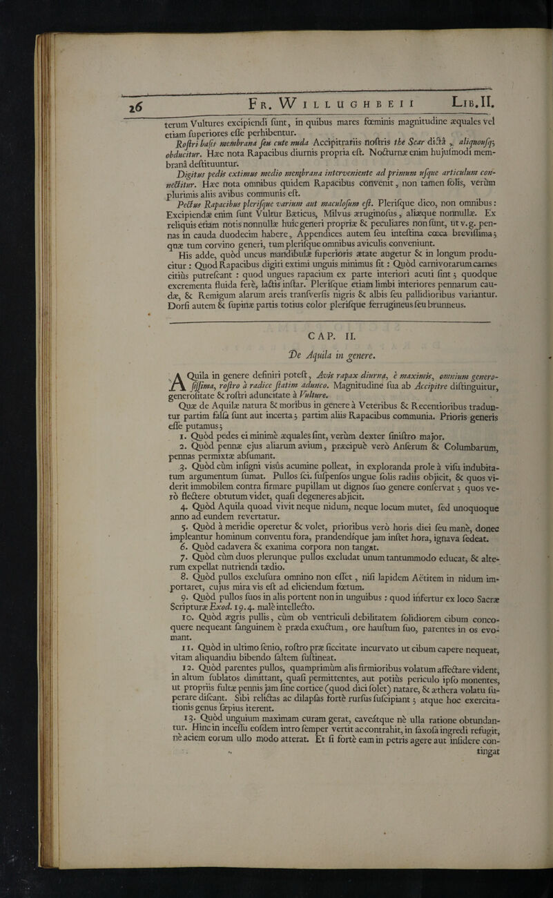 terum Vultures excipiendi funt, in quibus mares foeminis magnitudine aequales vel etiam fuperiores efle perhibentur. Roftri bafts membrana fen cute nuda Accipitrariis rloftris the Sear dida * aliquoufjj obducitur. Hxc nota Rapacibus diurnis propria eft. Nodurnse enim hujuimodi mem¬ brana deftituuntur. Digitus pedis extimus medio membrana interveniente aci primum ufjue articulum con- neBitur. Haec nota omnibus quidem Rapacibus convenit, non tamen folis, verum plurimis aliis avibus communis eft. Pe&us Rapacibus plerifque varium aut maculofum efi. Plerifque dico, non omnibus: Excipiendae enim funt Vultur Baeticus, Milvus aeruginofus, aliaeque nonnullae. Ex reliquis etiam notis nonnullae huic generi propriae & peculiares noniunt, utv.g. pen¬ nas in cauda duodecim habere, Appendices autem (eu inteftina coeca breviftima 3 qnee tum corvino generi, tum plerifque omnibus aviculis conveniunt. His adde, quod uncus mandibulae fuperioris aetate augetur Sc in longum produ¬ citur : Quod Rapacibus digiti extimi unguis minimus iit: Quod carnivorarum carnes citius putreicant : quod ungues rapacium ex parte interiori acuti fint 3 quodque excrementa fluida fere, ladis inftar. Plerifque etiam limbi interiores pennarum cau¬ ci^ Se Remigum alarum areis traniverfis nigris Se albis feu pallidioribus variantur. Dorii autem Se fupina? partis totius color plerifque ferrugineus feu brunneus. CAP. II. De Jcpuihx in genere. A Quila in genere definiri poteft, Avis rapax dmrna0 e maximis, omnium gener 0- fijjima, rofiro a radice fatim adunco. Magnitudine fua ab Accipitre diftinguitur, generofitate Se roftri aduncitate a Vulture. Quse de Aquihe natura Se moribus in genere a Veteribus Se Recentioribus tradun¬ tur partim falia funt aut incerta 3 partim aliis Rapacibus communia. Prioris generis efle putamus 3 1. Quod pedes ei minime aequales fint, verum dexter finiftro major. 2. Quod pennae ejus aliarum avium, praecipue vero Anierum Se Columbarum, pennas permixtae abfumant. 3. Quod cum infigni visus acumine polleat, in exploranda prole a vifu indubita¬ tum argumentum fumat. Pullos fci. fuipenfos ungue folis radiis objicit, Se quos vi¬ derit immobilem contra firmare pupillam ut dignos fuo genere conlervat 3 quos ve¬ ro fledere obtutum videt, quafi degeneres abjicit. 4. Quod Aquila quoad vivit neque nidum, neque locum mutet, fed unoquoque anno ad eundem revertatur. 5. Quod a meridie operetur Se volet, prioribus vero horis diei feu mane, donec impleantur hominum conventu fora, prandendique jam inftet hora, ignava fedeat. 6. Quod cadavera Se exanima corpora non tangat. 7. Quod cum duos plerunque pullos excludat unum tantummodo educat, Se alte¬ rum expellat nutriendi taedio. 8. Quod pullos excluiura omnino non eflet, nifi lapidem Aetitem in nidum im¬ portaret, cujus mira vis eft ad eliciendum foetum. 9. Quod pullos fuos in alis portent non in unguibus: quod infertur ex loco Sacrse Scripturae Exod. 19.4. maleintelledo. 10. Quod aegris pullis, cum ob ventriculi debilitatem folidiorem cibum conco¬ quere nequeant fanguinem e praeda exudum, ore hauftum fuo, parentes in os evo¬ mant. 11. Quod in ultimo fenio, roftro prae ficcitate incurvato ut cibum capere nequeat, vitam aliquandiu bibendo (altem (uftineat. 12. Quod parentes pullos, quamprimum alis firmioribus volatum affedare vident, in altum fublatos dimittant, quafi permittentes, aut potius periculo ipfo monentes* ut propriis fultae pennis jam fine cortice (quod dici folet) natare, & aethera volatu fu- perare diicant. Sibi relidas ac dilapfas forte rurius fufcipiant 3 atque hoc exercita¬ tionis genus fiepius iterent. 13. Quod unguium maximam curam gerat, caveatque ne ulla ratione obtundan¬ tur. Hinc in inceflii eofdem intro temper vertit ac contrahit, in (axofa ingredi refugit, ne aciem eorum ullo modo atterat. Et fi forte eam in petris agere aut infidere con¬ tingat