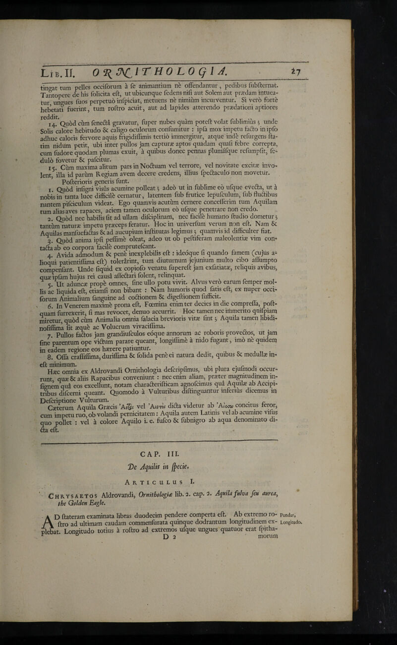LiB.Ii. Ο^ΰ^ΙΤΗΟ LO Ql A. ■ 17 tingat tum pelles occiforum a fe animantium ne offendantur, pedibus fubfternat. Tantopere de his folicita eft, ut ubicunque fedensniii aut Solem aut prodam intuea¬ tur ungues fuos perpetuo infpiciat, metuens ne nimium incurventur. Si vero forte hebetati fuerint, tum roftro acuit, aut ad lapides atterendo praedationi aptiores Quod cum fene&a gravatur, fuper nubes quam poteft volat fublimius 5 unde Solis calore hebitudo & caligo oculorum coniumitur : ipfa mox impetu fafto in ipio adhuc caloris fervore aquis frigidiffimis tertio immergitur, atque inde refurgens fla- tim nidum petit, ubi inter pullos jam capturas aptos quadam quafi febre correpta, cum fudore quodam plumas exuit, a quibus donec pennas plumafque refumpfit, fe* dulo fovetur Se paicitur. . . 15. Cum maxima alitum pars in Noftuam vel terrore, vel novitate excitas invo¬ lent, illa id parum Regiam avem decere credens, illius fpe&aculo non movetur. Pofterioris generis funt. 1. Qubd infigni visus acumine polleat 5 adeo ut in fublime eo ufque eVefta, ut a nobis in tanta luce difficile cernatur, latentem fub frutice lepufculum, fub fluftibus nantem pifciculum videat. Ego quamvis acutum cernere concelferim tum Aquilam tum alias aves rapaces, aciem tamen oculorum eo ufque penetrare non credo. 2. Quod nec habilis iit ad ullam difciplinam, nec facile humano ftudio dometur $ tantftmnaturse impetu praeceps feratur. Hoc in univerfum verum non eft. Nam & Aquilas manfuefaftas St ad aucupium inftitutas legimus 5 quamvis id difficulter fiat. 3. Quod anima ipfi peflime oleat, adeo ut ob peftiferam maleolentia? vim con* ta&a ab eo corpora facile compruteicant. 4. Avida admodum Sc pene inexplebilis eft .* ideoque fi quando famem (cujus a- lioqiii patientiffima eft) toler&rint, tum diuturnum jejunium multo cibo affumpto compenfant. Unde fiquid ex copiofo venatu fupereft jam exfatiatas, reliquis avibus, ause ipiam hujus rei causa affe&ari folent, relinquat. 5. Ut adunca prope omnes, fine ullo potu vivit. Alvus vero earum femper mol¬ lis ac liquida eft, etiamfi non bibant : Nam humoris quod fatis eft, ex nuper occi- forum Animalium (anguine ad coitionem & digeftionem fufficit. v β4 In Venerem maxime prona eft, Fcemina enim ter decies in die comprefla, poft- quarti furrexent, fi mas revocet, denuo accurrit. Hoc tamen nec immerito qnifpiam miretur, quod cum Animalia omnia falacia brevioris vita? fint 5 Aquila tamen libidi* nofiifima fit aeque ac Volucrum vivaciftima. 7. Pullos faftos jam grandiufculos eoque annorum ac roboris provedros, ut jam fine parentum ope vidtum parare queant, iongiflime a nido fugant, imo ne quidem in eadem regione eos ha?rere patiuntur. , . 8. Offa craffiffima,duriffima & folida peneei natura dedit, quibus & medulla? m* Uxc omnia ex Aldrovandi Ormthologia defcripfimus, ubi plura ejuimodi occur* runt quae & aliis Rapacibus conveniunt : nec enim aliam, praeter magnitudinem in¬ fimem qu& eos excellunt, notam charadenfticam agnofcimus qua Aquili ab Accipi¬ tribus difcerni queant. Quomodo a Vulturibus diftinguantur inferius dicemus m Defcriptione Vulturum. . ,Al . r Caeterum Aquila Gra?cis ’Ag&i vel Aιετκ difta videtur ab A10™ concitus teror, cum impetu ruo, ob volandi pernicitatem r Aquila autem Latinis vel ab acumine viius quo pollet : vel a colore Aquilo i. e. fufco & fubnigro ab aqua denominato di- dta eft. CAP. III. De Aquilis in feecie» Articulus I. Chrysaetos Aldrovandi, Ornithology lib. 2. cap. 2. Aquila fulva feu aurea, the Golden Eagle. AD ftateram examinata libras duodecim pendere comperta eft. Ab extremo ro- Pondu·, ftro ad ultimam caudam commenfurata quinque dodrantum longitudinem ex- Longitudo. plebat Longitudo totius a roftro ad extremos ufque ungues quatuor erat fpitha-