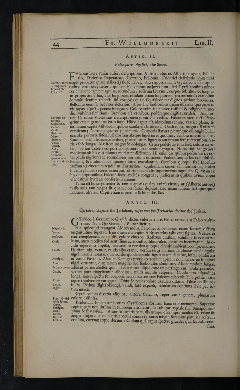 falconis facri defcriptio ex Imperatore Friderico. Carcani de- fcriptio. Magnitudo. Caput. Oculi. Roll rum. Nares. Statura. Color. Cauda. Ala;. Crura. Hornotini quomodo a mutatis diffe rant. Magnitudo. Vertex. Roftrum. Oculi. Color. Remiges. Ala;. Peftoris color, Cauda. Tibiae. Pedes. Digiti. Eoni Gyrfal- conis forma. Caput. Sinciput. Oculi. Nares. Roil rum. Collum. Artic. II. Valeo facer Anglice, the Sacre. F Alconis facri varias adfert deferiptiones Aldrovandus ex Alberto magno, Beliia- rio, Friderico Imperatore, Carcano, Bellonio. Friderici defcriptio (qux mihi magis probatur quam Alberti) fie fe habet. Sacri approximant Gyrfalconi in magni¬ tudine corporis 3 exteris quidem Falconibus majores iiint, fed Gyrfalconibus mino-4 res : habent caput magnum, rotundum 3 roftrum brevius 3 corpus fubtilius Sc longius in proportione fua, alas longiores, caudam etiam longiorem, pedus minus carnofum Sc minus denfum refpedu fui corporis quam Gyrfalcones: diditos pedum breviores. Bellonius eum fic breviter deferibit. Sacer hic foedioribus quam ulla alia quaspiam a- vis rapax afpedu pennis integitur. Colore enim funt inter ruffum & fuligineum me¬ dio, Milvinis fimillimx. Brevibus eft cruribus, pedumque digitis cxruleis. Amplio¬ rem Carcanus Vicentinus deferiptionem ponit his verbis. Falcones facri didi Pere¬ grino etiam grandi majores funt. Hifce caput eft admodum canum, vertice plano, fi- millimum capiti Milvorum quibus cauda eft bifurcata. Oculi nigri, magni: Roftrum caeruleum 3 Nares exiguas ut plurimum. Corporis ftatura plerunque oblongiufcula: maculae pedoris fufcx, uti dorfum alxque fuperiores quoque 3 femora interiora alba. Cauda maculis femicircularibus, phafeolorum figuram aut renum fere referentibus, va¬ ria eft Sc longa. Alx item magnx & oblongx. Crura pedefque tota fere, coloris exru- lei 3 verum extero corpori comparata non admodum magna. Hornotini, vulgo Sort modicum ab his qui plumas mutarunt differunt. Hi enim eas quibus pedus variat no¬ tas paulo nigriores ac rotundiores hornotinis obtinent. Pedes quoque his nonnihil al- ■ befcunt, & quibufdam aliquanto luteo maculantur. Omnibus quoque fere Dorium ruffum ad cinereum tendit ut Turturibus. Quibufdam tamen tam hornotinis, quam his qui plumas veteres exuerunt, dorfum cum alis fuperioribus nigrefeit. Quxnam ex his deferiptionibus Falconi facro melius congruat, judicent iis quibus avium copia eft, eafque invicem conferendi animus. Tanta eft hujus potentia & tam corporis quam animi virtus, ut (Alberto autore) nulla avis tam magna fit quam non ftatim dejiciat, nec unam tantum fed quotquot habuerit obvias. Capit etiam capreolos & hinnulos, &c. Artic. III. Gyrfalco, Anglice the Jerfalcon, cujus masfm Tertiarius dicitur the Jerkin. GYrfalco a Germanico Gyrfalc didus videtur : i. e. Falco rapax, aut Falco vultu¬ rinus. Nam Gyr Germanis Vultur dicitur. Hic, quicquid repugnat Aldrovandus, Falcones alios omnes etiam facrum didum magnitudine fuperat. Ejus quem defcripfit Aldrovandus talis erat figura. Vertex ei erat complanatus ac fefiilis, colore cinereo. Roftrum craflum, validum, breve exru- leum, unco modico fed acutiffimo ac robufto, fubcxruieo, deorfum incurvatum. In o- culis nigerrima pupilla, iris cxrulea cxruleo quoque circulo ambiente.confpiciebatur. Dorium, alx, venter, cauda alba erant 3 verum tergi alaramque plumx pene fingulx nigra macula notatx, qux cordis quodammodo figuram xmulabatur, inftar oculorum in cauda Pavonis. Alarum Remiges prope extremum apicem nota majori ac longiori nigra ornantur, qux tamen margine feu limbo albo clauditur. Alx admodum longx, adeo ut parum abeflet quin ad extremam ufque caudam pertingerent. Gula,pedus & venter pura tingebantur albedine, nullis maculis refperfa. Cauda non admodum longa, imo refpedu fui corporis necnon exterorum Falconum breviufcula potius notis nigris tranfverfim variegata. Tibix & pedes colore cxruleo diluto. Tibix crafix, ro- buftx. Pedum digiti oblongi, validi, late expanfi, tabularum continua ferie per to¬ tum intedi. Cy 1 falconum diverfa aliquot, autore Carcano, reperiuntur genera, plumarum colore diftinda. ' r Fridericus Imperator bonam Gyrfalconis formam hanc effe memorat. Superior capitis pars non furfum in tumorem attollatur, fed ubique xquale fit. Sinciput am¬ plum & fpatiofum. Anterior capitis pars, illa nempe qux fupra oculos eft, etiam fit ampla : fupercilia eminentia 3 oculi concavi 3 nares infigni foramine patulx 3 roftrum craflum, curvum atque durum ; Collum qua caput fpedat gracile, qua fcapulas craf- ium.
