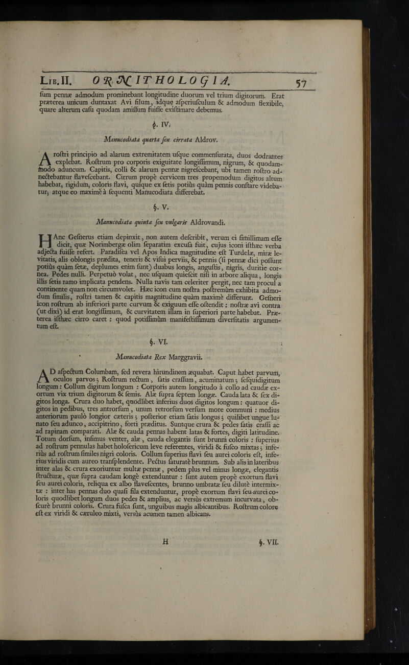 J Lib.II. O^ACITHO Log 1J. fum pennae admodum prominebant longitudine duorum vel trium digitorum. Erat praeterea unicum duntaxat Avi filum, idque aiperiuiculum & admodum flexibile, quare alterum caiu quodam amifliim fuifle exiftimare debemus. 57 i- IV. Manucodiata quarta feu cirrata Aldrov. Aroftri principio ad alarum extremitatem uique commenfurata, duos dodrantes explebat. Roftrum pro corporis exiguitate longiffimum, nigrum, & quodam- fnodo aduncum. Capitis, colli Sc alarum pennae nigrefeebant, ubi tamen roftro ad- nedebantur flavefcebant. Cirrum prope cervicem tres propemodum digitos altum habebat, rigidum, coloris flavi, quique ex fetis potius quam pennis conflare videba¬ tur* atque eo maxime a fequenti Manucodiata differebat. §. V. Manucodiata quinta feu vulgaris Aldrovandi. HAnc Gefherus etiam depinxit, non autem defcribit, verum ei flmillimam efle dicit, quae Norimbergae olim feparatim excufe fuit, cujus iconi ifthaec verba adjeda fuifle refert. Paradifea vel Apos Indica magnitudine eft Turdelae, mirae le¬ vitatis, alis oblongis praedita, teneris Sc. vifui perviis, & pennis (fi pennae dici poflunt potius quam fetae, deplumes enim funt) duabus longis, anguflis, nigris, duritie cor¬ nea. Pedes nulli. Perpetuo volat, nec ufquam quiefcit nifi in arbore aliqua, longis illis fetis ramo implicata pendens. Nulla navis tam celeriter pergit, nec tam procul a continente quam non circumvolet. Haec icon cum noflra poftremum exhibita admo¬ dum fimilis, roftri tamen Sc capitis magnitudine quam maxime differunt. Gefneri icon roftrum ab inferiori parte curvum & exiguum efle oftendit; noftrae avi contra (ut dixi) id erat longiffimum, Sc curvitatem illam in fuperiori parte habebat. Prae¬ terea ifthaec cirro caret : quod potiffimum manifeftiffimum diverfitatis argumen¬ tum eft. §. VI. * Manucodiata Rex Marggravii. AD afpedum Columbam, fed revera hirundinem aequabat. Caput habet parvum, oculos parvos 5 Roftrum redum , fatis craflum, acuminatum 5 fefquidigitum longum: Collum digitum longum : Corporis autem longitudo a collo ad caudae ex¬ ortum vix trium digitorum Sc femis. Alae iupra feptem longae. Cauda lata Sc fex di¬ gitos longa. Crura duo habet, quodlibet inferius duos digitos longum: quatuor di¬ gitos in pedibus, tres antrorfum , unum retrorfum verfum more communi : medius anteriorum paulo longior exteris ; pofterior etiam fatis longus 5 quilibet ungue lu¬ nato feu adunco, accipitrino, forti praeditus. Suntque crura Sc pedes fatis craffi ac ad rapinam comparati. Alae Sc cauda pennas habent latas Sc fortes, digiti latitudine. Totum dorfum, infimus venter, alae , cauda elegantis funt brunni coloris : fuperius ad roftrum pennulas habetholofericum leve referentes, viridi Sc fufeo mixtas; infe¬ rius ad roftrum fimiles nigri coloris. Collum fuperius flavi feu aurei coloris eft, infe¬ rius viridis cum aureo traniplendente. Pedus feturate brunnum. Sub alis in lateribus inter alas Sc crura exoriuntur multae pennae, pedem plus vel minus longae, elegantis ftrudurx, qux iupra caudam longe extenduntur : funt autem prope exortum flavi feu aurei coloris, reliqua ex albo flavefeentes, brunno umbratae feu dilute intermix¬ tae : inter has pennas duo quafi fila extenduntur, prope exortum flavi feu aurei co¬ loris quodlibet longum duos pedes Sc amplius, ac versus extremum incurvata, ob- feure brunni coloris. Crura fufea funt, unguibus magis albicantibus. Roftrum colore eft ex viridi 8c cxruleo mixti, versus acumen tamen albicans. H vn.