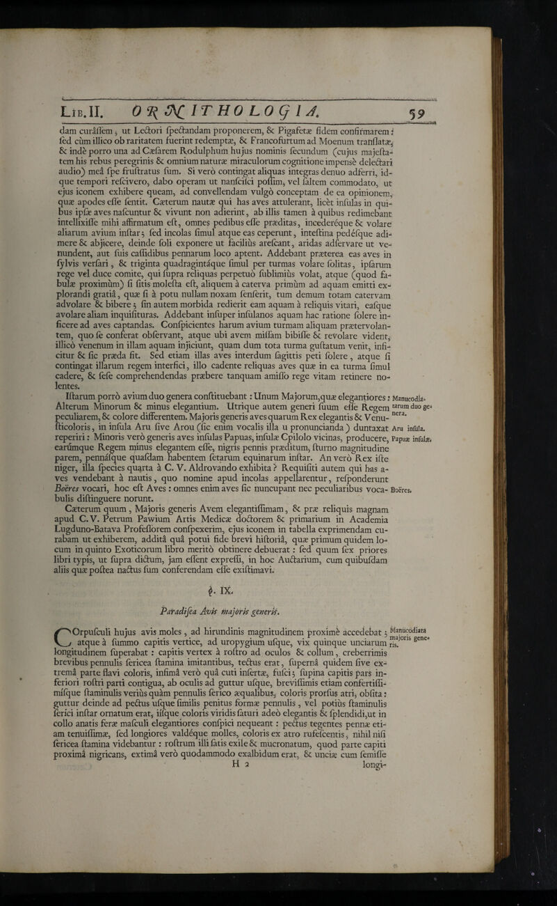 Lib.II. O^SSCITHOLOgiJ. 59 «*» ■ MB ■■ i ■■ I ■ —— I '«■ '■  I. - — — ' Ilii I.· ——— — III ■■ I III I ■» I. »■>■■■ I “—*»»■ ■*- dam curaflem , ut Ledtori fpedtandam proponerem, & Pigafeta? fidem confirmarem * fed cumillico ob raritatem fuerint redempta, & Francofurtumad Moenum tranflatse, & inde porro una ad Calarem Rodulphum hujus nominis fecundum (cujus majefta- tem his rebus peregrinis & omnium natura? miraculorum cognitione impense deledtari audio) mea fpe fruftratus iiim. Si vero contingat aliquas integras denuo adferri, id- que tempori refcivero, dabo operam ut nanfciici poflim, vel faltem commodato, ut ejus iconem exhibere queam, ad convellendam vulgo conceptam de ea opinionem, quse apodes efle fentit. Ca?terum nauta? qui has aves attulerant, licet infulas in qui» bus ipfa? aves nafcuntur & vivunt non adierint, ab illis tamen a quibus redimebant intellixifle mihi affirmatum eft, omnes pedibus efle prseditas, incedereque Sc volare aliarum avium inftar 5 fed incolas fimul atque eas ceperunt, inteftina pedefque adi¬ mere & abjicere, deinde foli exponere ut facilius arefeant, aridas adfervare ut ve¬ nundent, aut fuis caffidibus pennarum loco aptent. Addebant praeterea eas aves in fylvis verfari, Sc triginta quadragintaque fimul per turmas volare fblitas, ipfarum rege vel duce comite, qui fupra reliquas perpetuo fiiblimius volat, atque (quod fa¬ bula? proximum) fi fitis molefta eft, aliquem a caterva primum ad aquam emitti ex¬ plorandi gratia, quse fi a potu nullam noxam fenferit, tum demum totam catervam advolare & bibere 5 iin autem morbida redierit eam aquam a reliquis vitari, eafque avolare aliam inquifituras. Addebant infuper infulanos aquam hac ratione folere in¬ ficere ad aves captandas. Confpicientes harum avium turmam aliquam pra?tervolan- tem, quo fe conferat obfervant, atque ubi avem miffam bibifle & revolare vident, illico venenum in illam aquam injiciunt, quam dum tota turma guftatum venit, infi¬ citur 8c fic prseda fit. Sed etiam illas aves interdum fagittis peti folere, atque fi contingat illarum regem interfici, illo cadente reliquas aves qua? in ea turma fimul cadere, & fefe comprehendendas prsebere tanquam amifio rege vitam retinere no¬ lentes. Iftarum porro avium duo genera conftituebant: Unum Majorum,quse elegantiores: Manucodk- Alterum Minorum & minus elegantium. Utrique autem generi fuum efle Regem tarumduoge* peculiarem, 8c colore differentem. Majoris generis aves quarum Rex elegantis 8c Venu- nera’ fticoloris, in infula Aru five Arou (fic enim vocalis illa u pronuncianda ) duntaxat Am infula, reperiri: Minoris vero generis aves infulas Papuas, infulse Cpilolo vicinas, producere, Papua; infula earumque Regem minus elegantem efle, nigris pennis prseditum, fturno magnitudine parem, pennafque quafdam habentem fetarum equinarum inftar. An vero Rex ifte niger, illa fpecies quarta a C. V. Aldrovando exhibita ? Requifiti autem qui has a- ves vendebant a nautis, quo nomine apud incolas appellarentur, refponderunt Boeres vocari, hoc eft Aves: omnes enim aves fic nuncupant nec peculiaribus voca- Boeres. bulis diftinguere norunt. Ceterum quum , Majoris generis Avem elegantiflimam, & pra? reliquis magnam apud C.V. Petrum Pawium Artis Medicse dodtorem & primarium in Academia Lugduno-Batava Profeflorem confpexerim, ejus iconem in tabella exprimendam cu¬ rabam ut exhiberem, addita qua potui fide brevi hiftoria, quse primum quidem lo¬ cum in quinto Exoticorum libro merito obtinere debuerat: fed quum fex priores libri typis, ut fupra didtum, jam eflent expreffi, in hoc Audtarium, cum quibufdam aliis quse poftea nadtus fum conferendam efle exiftimavi. f IX. Paradifea Avis majoris generis. COrpufculi hujus avis moles, ad hirundinis magnitudinem proxime accedebat; Mapucodiats atque a iummo capitis vertice, ad uropygium ulque, vix quinque unciarum ris. longitudinem fuperabat : capitis vertex a roftro ad oculos 8c collum, creberrimis brevibus pennulis fericea ftamina imitantibus, tedtus erat, fuperna quidem five ex¬ trema parte flavi coloris, infimd vero qua cuti infertse, fulci 5 lupina capitis pars in¬ feriori roftri parti contigua, ab oculis ad guttur ufque, breviflimis etiam confertifli- mifque ftaminulis verius quam pennulis ferico squalibus, coloris prorfus atri, obfita: guttur deinde ad pedtus ufque fimilis penitus formse pennulis , vel potius ftaminulis ferici inftar ornatum erat, iifque coloris viridis faturi adeo elegantis & fplendidi,ut in collo anatis fera? mafculi elegantiores confpici nequeant: pedtus tegentes pennae eti¬ am tenuifiimse, fed longiores valdeque molles, coloris ex atro rufefcentis, nihil nifi fericea ftamina videbantur : roftrum illi fatis exile & mucronatum, quod parte capiti proxima nigricans, extimi vero quodammodo exalbidum erat, & uncia? cum femiffe H 3 longi-