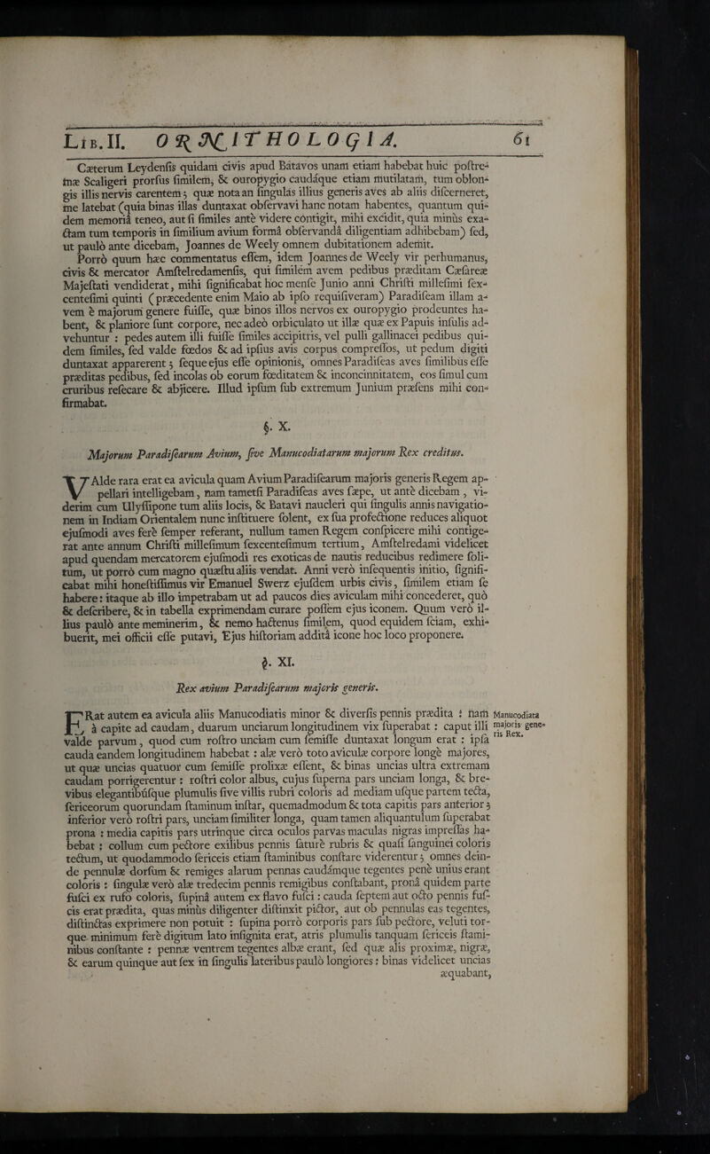 — - Caeterum Leydenfis quidam civis apud Batavos unam etiam habebat huic poftre- tnx Scaligeri prorfus fimilem, & ouropygio caudaque etiam mutilatam, tum oblon¬ gis illis nervis carentem 5 quae nota an lingulas illius generis aves ab aliis difcerneret, me latebat (quia binas illas duntaxat obfervavi hanc notam habentes, quantum qui¬ dem memorii teneo, aut fi fimiles ante videre contigit, mihi excidit, quia minus exa- ttam tum temporis in fimilium avium forma obiervanda diligentiam adhibebam) fed3 ut paulo ante dicebam, Joannes de Weely omnem dubitationem ademit. Porro quum haec commentatus eflem, idem Joannes de Weely vir perhumanus, civis & mercator Amftelredamenfis, qui fimilem avem pedibus proditam Cadar ea? Majeftati vendiderat, mihi fignificabat hocmenfe Junio anni Chrifti millefimi fex- centefimi quinti ( praecedente enim Maio ab ipfo requifiVeram) Paradifeam illam a- vem e majorum genere fuifle, quo binos illos nervos ex ouropygio prodeuntes ha¬ bent, & planiore funt corpore, nec adeo orbiculato ut illo quo ex Papuis infulis ad¬ vehuntur : pedes autem illi fuifle fimiles accipitris, vel pulli gallinacei pedibus qui¬ dem fimiles, fed valde foedos & ad ipfius avis corpus compreflos, ut pedum digiti duntaxat apparerent 5 fequeejus efle opinionis, omnes Paradifeas aves fimilibuseife proditas pedibus, fed incolas ob eorum foeditatem & inconcinnitatem, eos fimul cum cruribus refecare & abjicere. Illud ipfum fub extremum Junium profens mihi con¬ firmabat. $. X. Majorum Par adifear um Avium, five Manucodiatarum majorum Rex creditus. VAlde rara erat ea avicula quam Avium Paradifearum majoris generis Regem ap¬ pellari intelligebam, nam tametfi Paradifeas aves faepe, ut ante dicebam , vi¬ derim cum Ulyflipone tum aliis locis, & Batavi naucleri qui fingulis annis navigatio¬ nem in Indiam Orientalem nunc inftituere folent, ex fua profedione reduces aliquot ejufmodi aves fere femper referant, nullum tamen Regem confpicere mihi contige¬ rat ante annum Chrifti millefimum fexcentefimum tertium, Amftelredami videlicet apud quendam mercatorem ejufmodi res exoticas de nautis reducibus redimere foli- tum, ut porro cum magno quoftu aliis vendat. Anni vero infequentis initio, fignifi¬ cabat mihi honeftiifimus vir Emanuel Swerz ejufdem urbis civis, fimilem etiam fe habere: itaque ab illo impetrabam ut ad paucos dies aviculam mihi concederet, quo & defcribere, & in tabella exprimendam curare poflem ejus iconem. Quum vero il¬ lius paulo ante meminerim, & nemo hadenus fimilem, quod equidem fciam, exhi¬ buerit, mei officii efle putavi, Ejus hiftoriam additi icone hoc loco proponere. $. XI. 6l Rex avium Paradifearum majoris generis. ERat autem ea avicula aliis Manucodiatis minor 8c diverfis pennis prodita i nam Manucodlata , a capite ad caudam, duarum unciarum longitudinem vix fuperabat: caput illi δ€Πζβ valde parvum, quod cum roftro unciam cum femifle duntaxat longum erat : ipfa ns ex' cauda eandem longitudinem habebat: ais vero toto aviculae corpore longe majores, ut quae uncias quatuor cum femifle prolixae eflent, & binas uncias ultra extremam caudam porrigerentur : roftri color albus, cujus fuperna pars unciam longa, & bre¬ vibus elegantibfifque plumulis five villis rubri coloris ad mediam ufque partem teda, fericeorum quorundam flaminum inftar, quemadmodum 8c tota capitis pars anterior 3 inferior vero roftri pars, unciam fimiliter longa, quam tamen aliquantulum fuperabat prona : media capitis pars utrinque circa oculos parvas maculas nigras impreflas ha¬ bebat : collum cum pedore exilibus pennis fature rubris & quafi (anguinei coloris tedum, ut quodammodo fericeis etiam flaminibus conflare viderentur 3 omnes dein¬ de pennulae dorfum Sc remiges alarum pennas caudamque tegentes pene unius erant coloris: fingulae vero alse tredecim pennis remigibus conflabant, prona quidem parte fufci ex rufo coloris, fupina autem ex flavo fufci: cauda feptem aut odo pennis fuf- cis erat praedita, quas minus diligenter diflinxit pidor, aut ob pennulas eas tegentes, diftindas exprimere non potuit : fupina porro corporis pars fub pedore, veluti tor¬ que minimum fere digitum lato infignita erat, atris plumulis tanquam fericeis flami¬ nibus conflante : pennae ventrem tegentes alba; erant, fed quae alis proximae, nigrae. St earum quinque aut fex in fingulis lateribus paulo longiores; binas videlicet uncias aequabant,