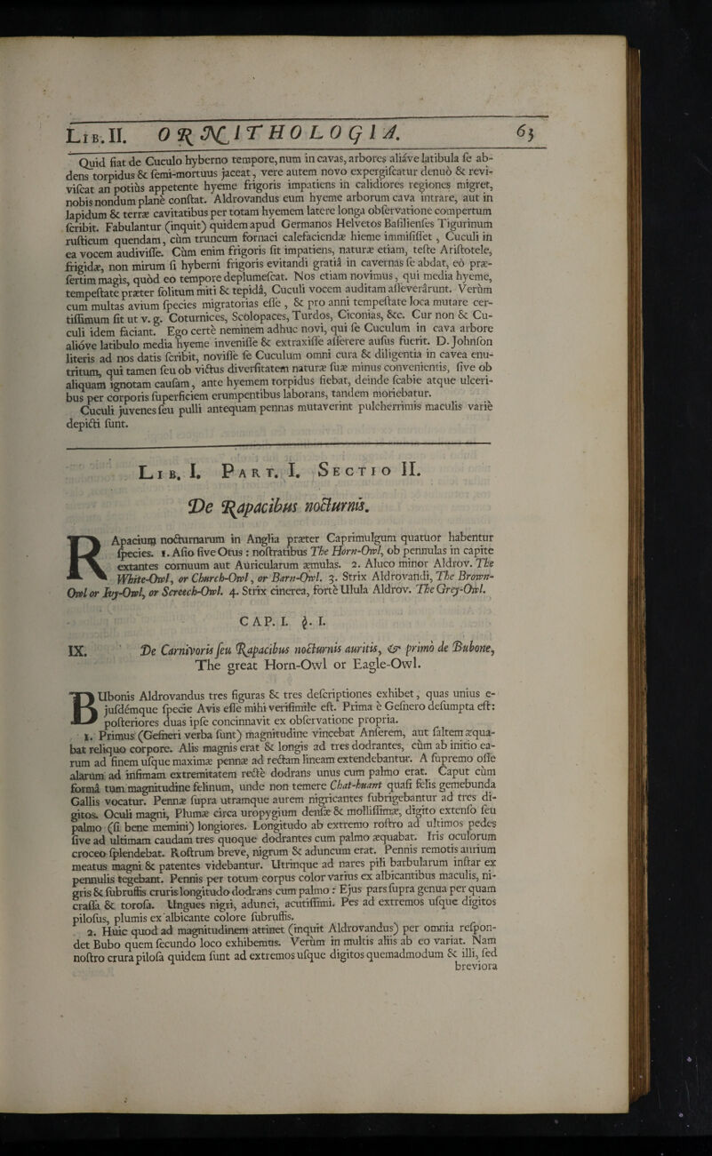Quid fiat de Cuculo hybemo tempore, num in cavas, arbores aliave latibula fe ab¬ dens torpidus & femi-mortuus jaceat, vere autem novo expergificatur denuo & revi- vificat an potius appetente hyeme frigoris impatiens in calidiores regiones migret, nobis nondum plane conftat. Aldrovandus eum hyeme arborum cava intrare, aut in lapidum 8t terrae cavitatibus per totam hyemem latere longa obfiervatione compertum icribit. Fabulantur (inquit) quidem apud Germanos Helvetos Bafilienfies Tigurinum rufticiim quendam, cum truncum fornaci calefacienda hieme immififlet, Cuculi in ea vocem audiviffie. Cum enim frigoris fit impatiens, natura? etiam, tefte Ariftotele, frigidx, non mirum fi hyberni frigoris evitandi gratia in cavernas fe abdat, eo pra?- fertimmagis, quod eo temporedeplumeficat. Nos etiam novimus, qui media hyeme, tempeftate prseter folitum miti St tepidi, Cuculi vocem auditam afleverarunt. Verum cum multas avium fipecies migratorias efle , St pro anni tempeftate loca mutare cer- tiifimum fit ut v. g. Coturnices, Scolopaces, Turdos, Ciconias, Stc. Cui non St Cu¬ culi idem faciant. Ego certe neminem adhuc novi, qui fe Cuculum in cava arbore aliove latibulo media hyeme inveniffe St extraxiffe afierere aufius fuerit. D. Johnfion literis ad nos datis icribit, novifie fe Cuculum omni cura St diligentia in cavea enu¬ tritum, qui tamen feuob viftus diverfitatem natura? fu a? minus convenientis, five ob aliquam ignotam caufam, ante hyemem torpidus fiebat, deinde fcabie atque ulceri¬ bus per corporis fuperficiem erumpentibus laborans, tandem moriebatur. Cuculi juvenes feu pulli antequam pennas mutaverint pulcherrimis maculis varie depifti funt. Lib, I. Part. I. Sectio II. De Rapacibus noclurnis. RApaciurp nofturnarum in Anglia prarter Caprimulgum quatuor habentur ipecies. ϊ. Afio fiveOtus: noftratibus The Horn-Owl, ob pennulas in capite extant es cornuum aut Auricularum aemulas. 2. Aluco minor Aldrov. The White-Owl, or Church-Owl, or Barn-Owl. 5. Strix Aldrovandi, The Brown- Owl or Ivy-Owl, or Screech-Owl. 4. Strix cinerea, forte Ulula Aldrov. The Grey-Owl. CAP. I. Γ. IX. Tie Carnivoris feu (Rapacibus noclurnis auritis, 0s primo de Bubone, The great Horn-Owl or Eagle-Owl. BUbonis Aldrovandus tres figuras Se tres defcriptiones exhibet, quas unius e- jufdemque fpecie Avis efie mihi verifimile eft. Prima e Gefnero defumpta eft: pofteriores duas ipfe concinnavit ex obfiervatione propria. I. Primus (Gefheri verba fiunt) magnitudine vincebat Anferem, aut faltem aequa¬ bat reliquo corpore. Alis magnis erat St longis ad tres dodrantes, cum ab initio ea¬ rum ad finem ufque maxima? penna? ad rectam lineam extendebantur. A fiipremo ofte alarum ad infimam extremitatem re&e dodrans unus cum palmo erat. Caput cum forma tum magnitudine felinum, unde non temere Chat-huant quafi felis gemebunda Gallis vocatur. Penna? fupra utramque aurem nigricantes fubrigebantur ad tres di¬ gitos. Oculi magni, Pluma? circa uropygium denfie & molliffima?, digito extenfio ieu palmo (fi bene memini) longiores. Longitudo ab extremo roftro ad ultimos pedes five ad ultimam caudam tres quoque dodrantes cum palmo aequabat. Iiis oculorum croceo fplendebat. Roftrum breve, nigrum St aduncum erat. Pennis remotis aurium meatus magni 8t patentes videbantur. Utrinque ad nares pili barbulaium inftar ex pennulis tegebant. Pennis per totum corpus color varius ex albicantibus maculis, ni¬ gris St fubruffis cruris longitudo dodrans cum palmo : Ejus pars fupra genua per quam crafla 8t torofa. Ungues nigri, adunci, acutiffimi. Pes ad extremos ufique digitos pilofus, plumis ex'albicante colore fubruffis. 2. Huic quod ad magnitudinem attinet (inquit Aldrovandus) per omnia refipon- det Bubo quem fecundo loco exhibemus. Verum in multis aliis ab eo variat. Nam noftro crura pilofia quidem fiunt ad extremos ufique digitos quemadmodum & illi, fed breviora